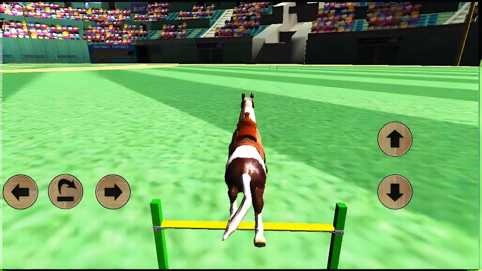 马模拟器3D2014