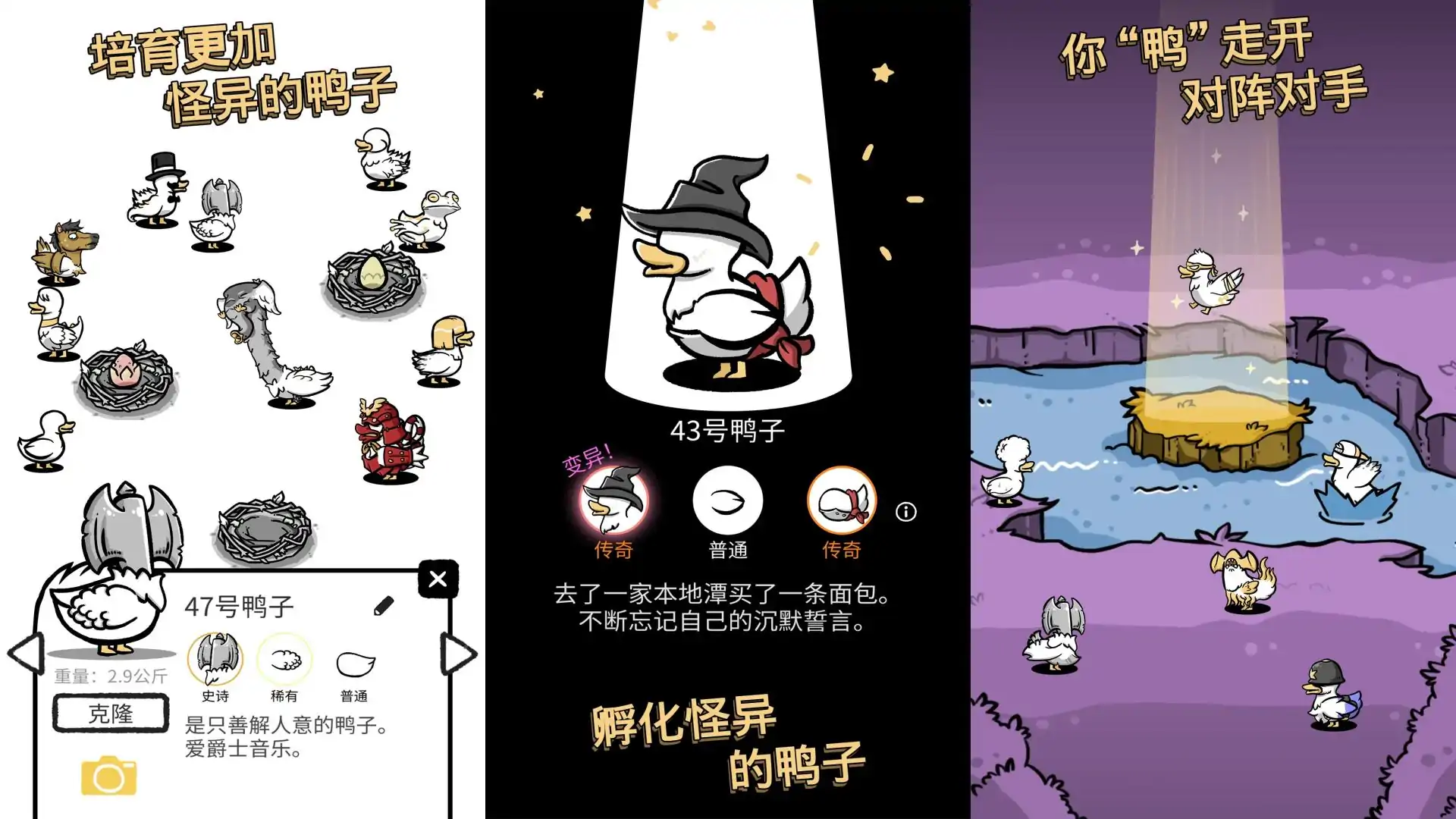 奇怪的鸭子