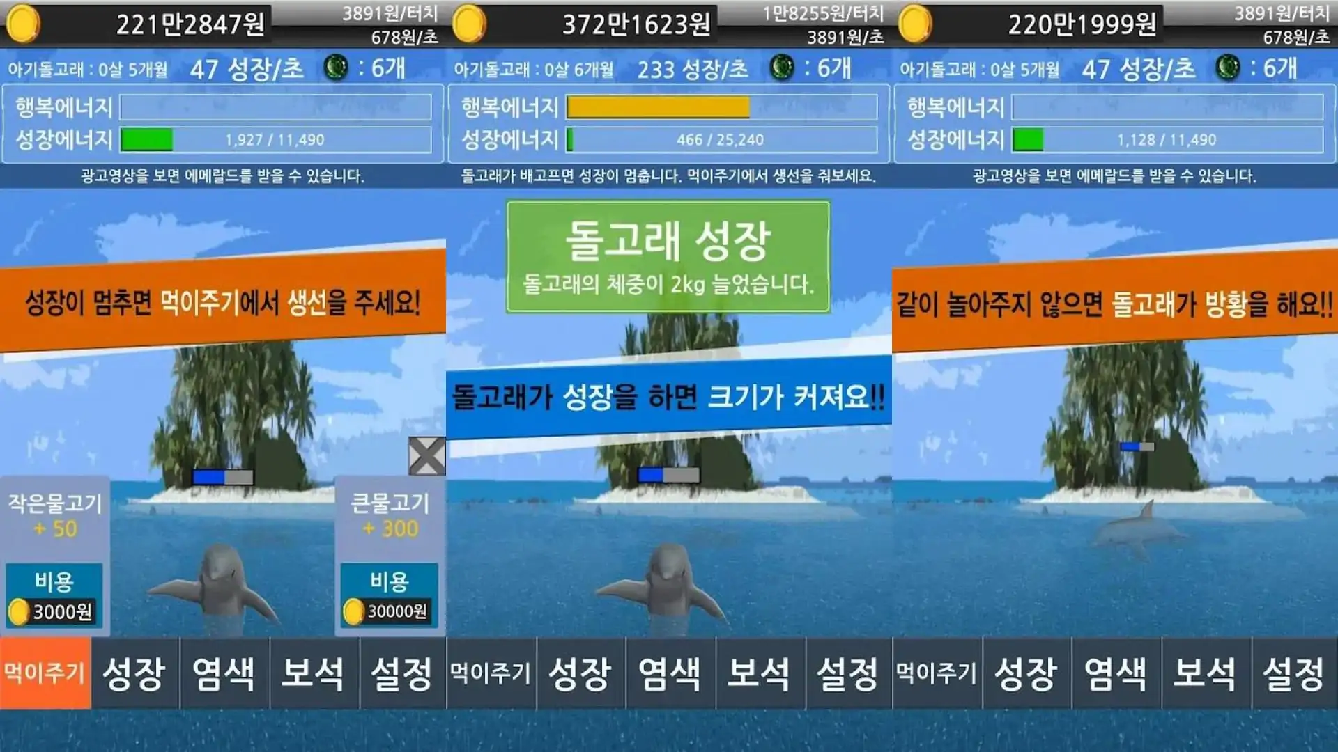 养海豚