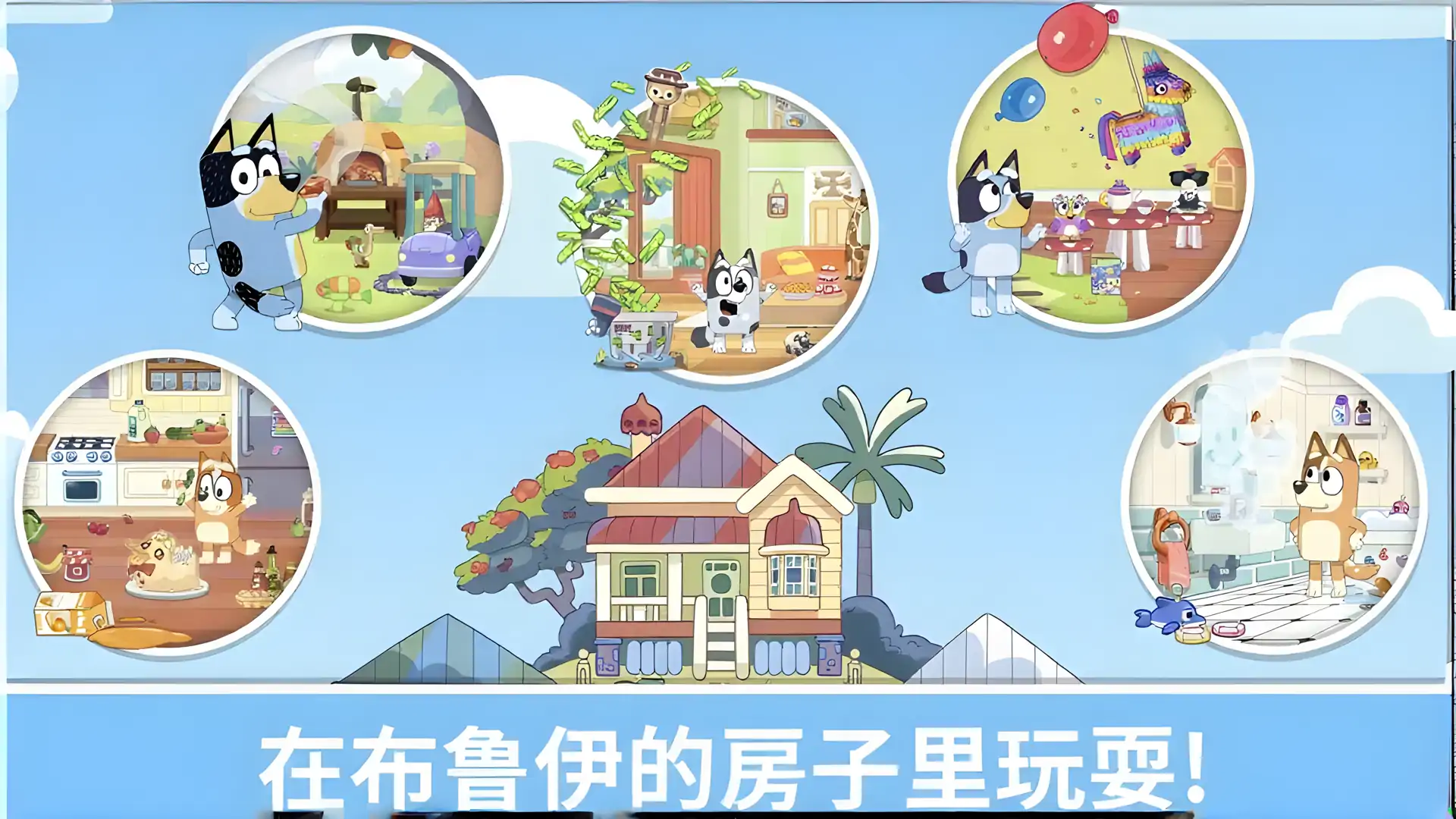 布鲁伊-一起玩吧