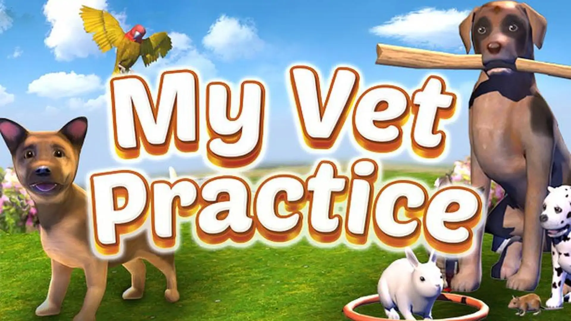 My Vet Practice
