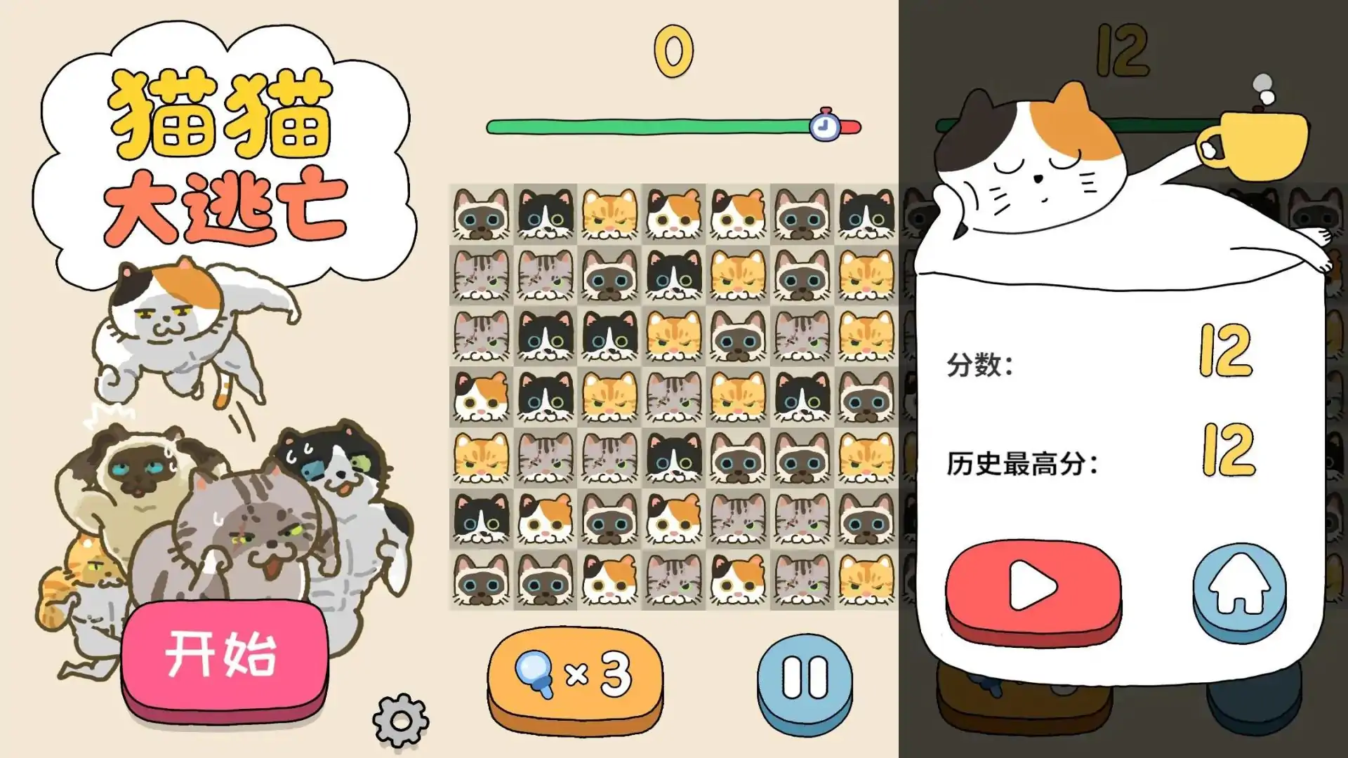 猫猫大逃亡