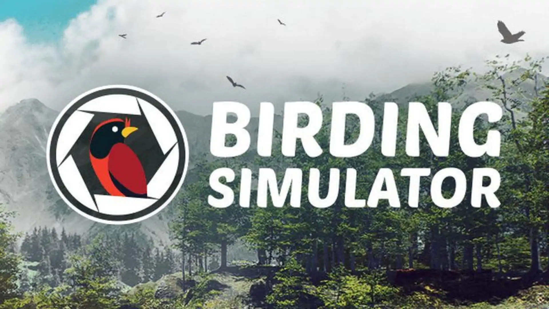 Birding Simulator: Bird Photographer