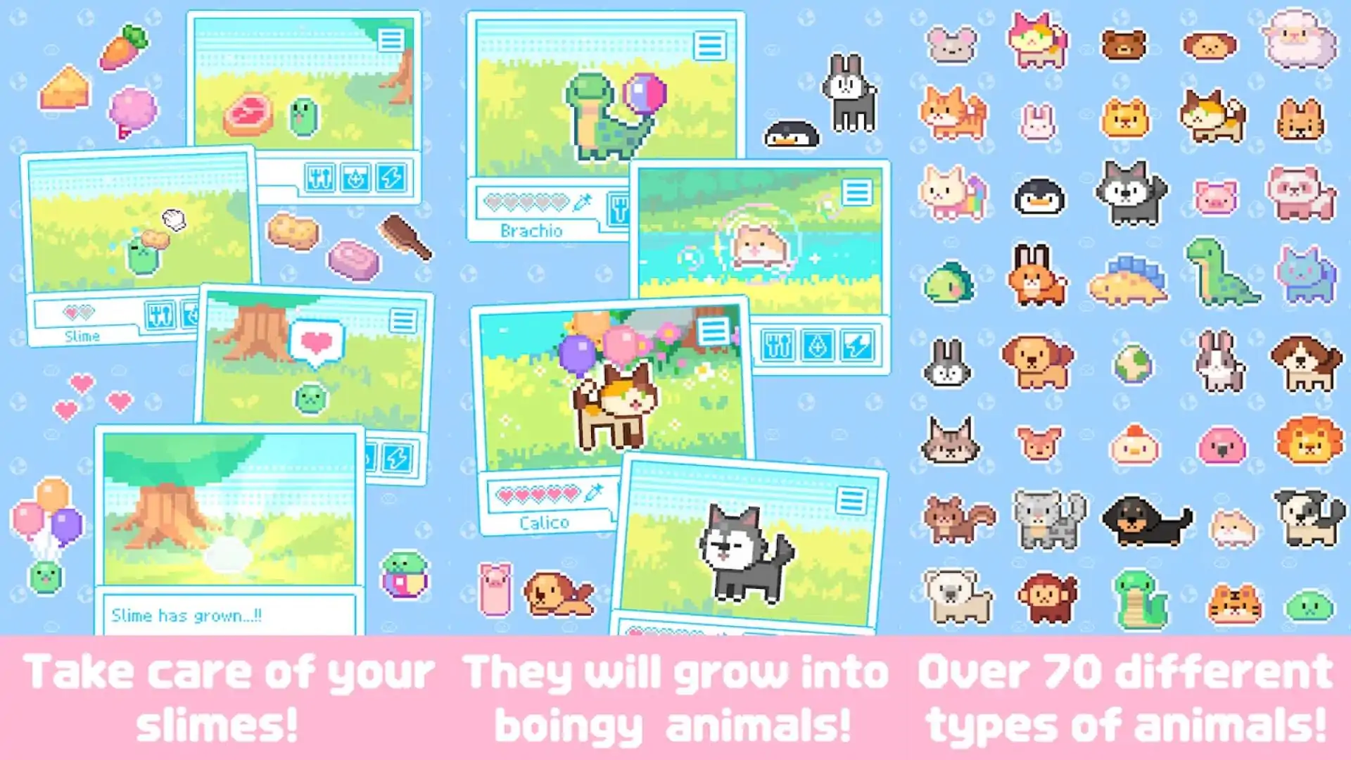 亲爱的呆萌呆萌动物们