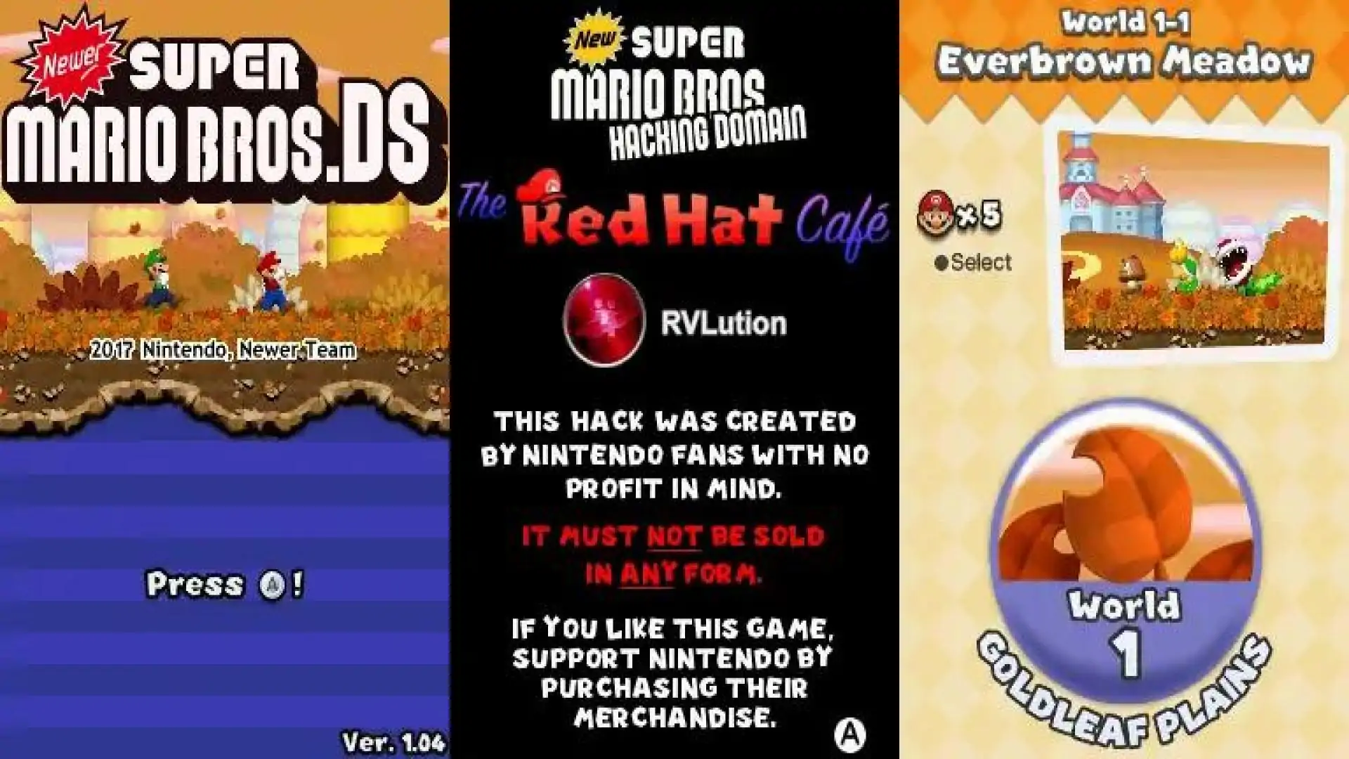 Newer超级马里奥兄弟DS