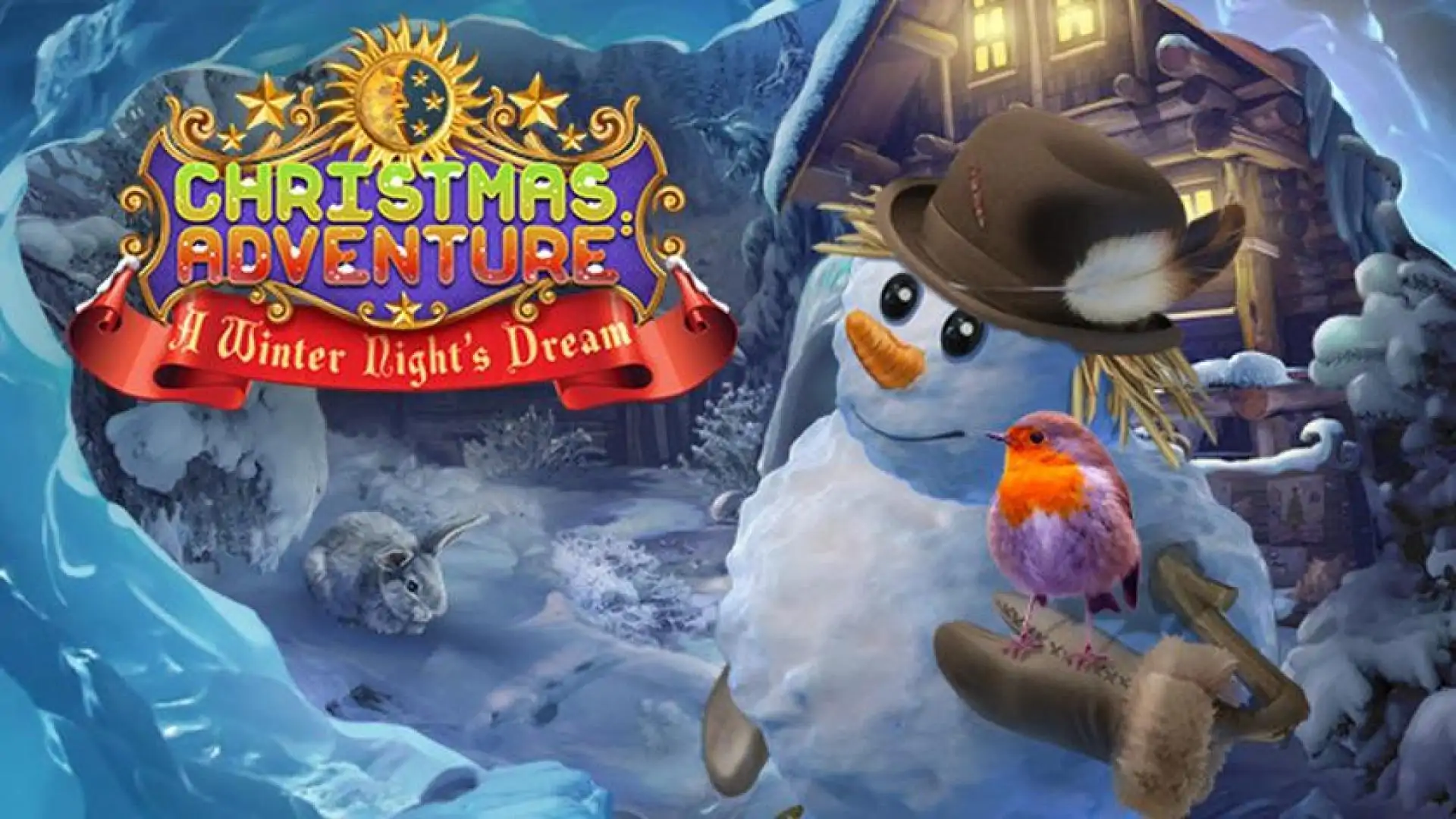 Christmas Adventures: A Winter Night's Dream