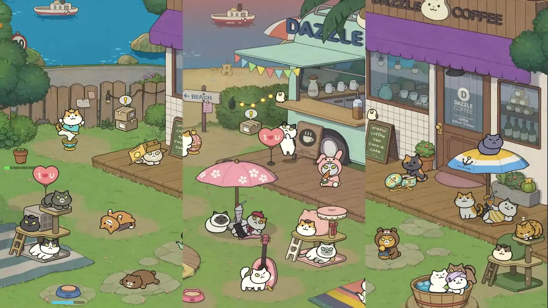 神秘猫咪字典