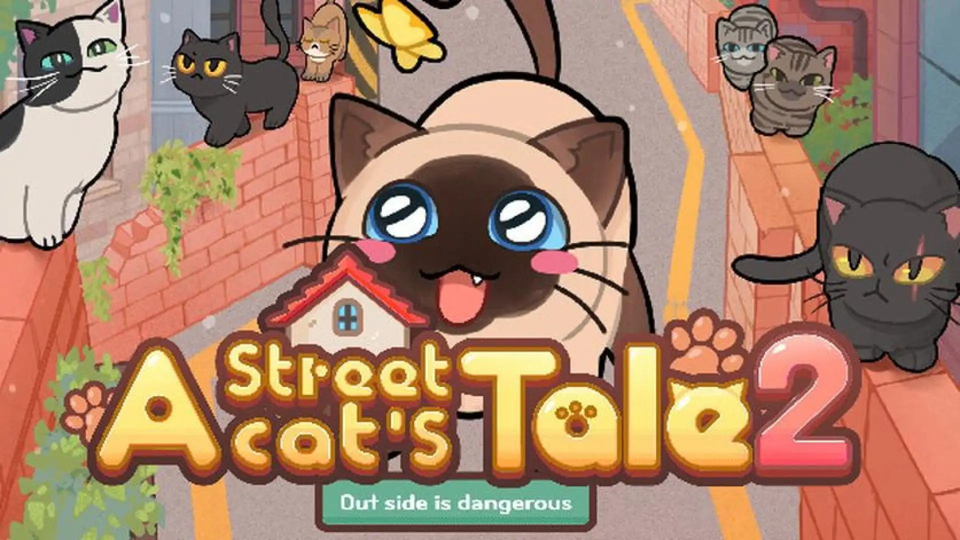 流浪猫的故事2:外面不安全