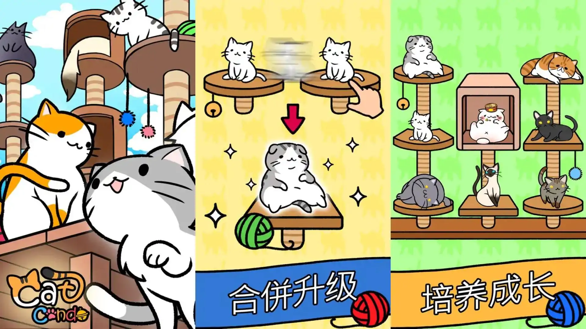 猫咪公寓-CatCondo