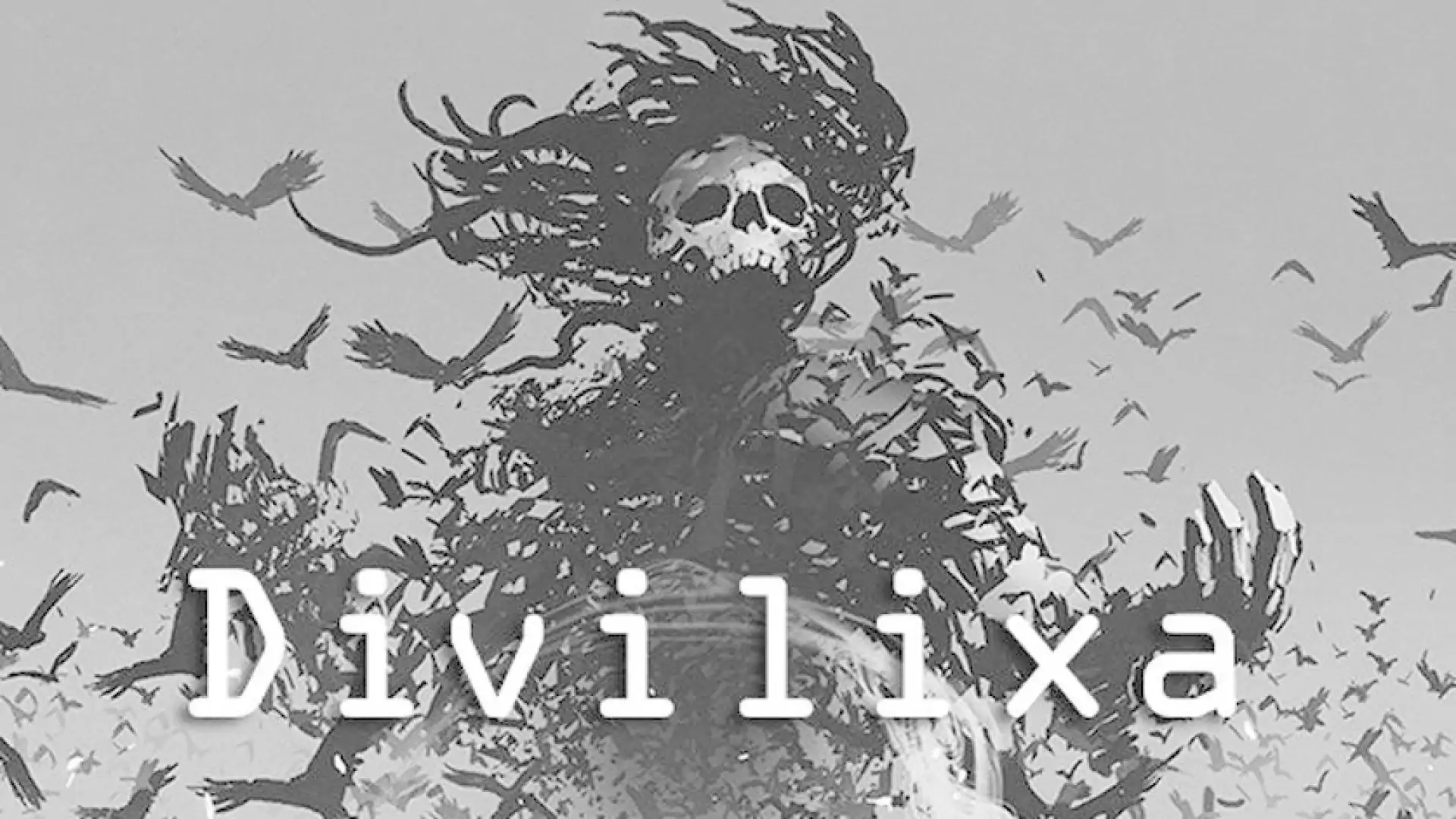 Divilixa