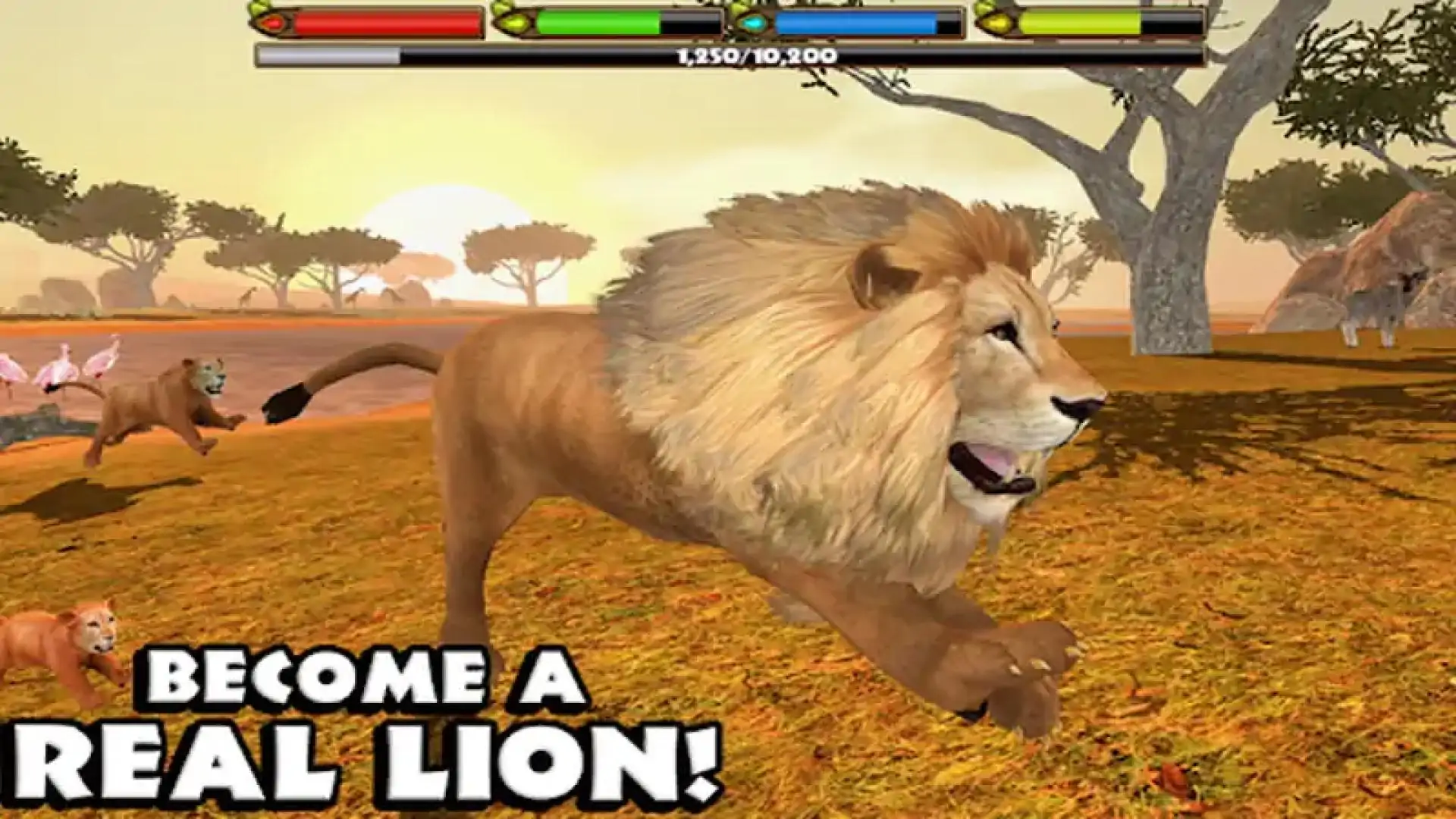 终极狮王模拟器