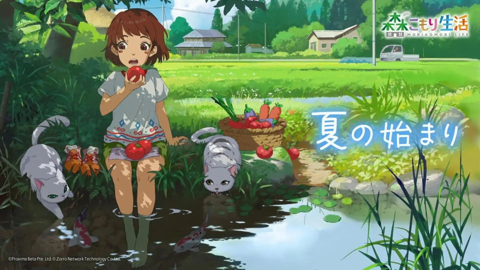 小森生活