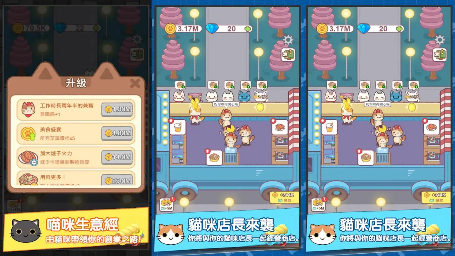 猫咪当店长