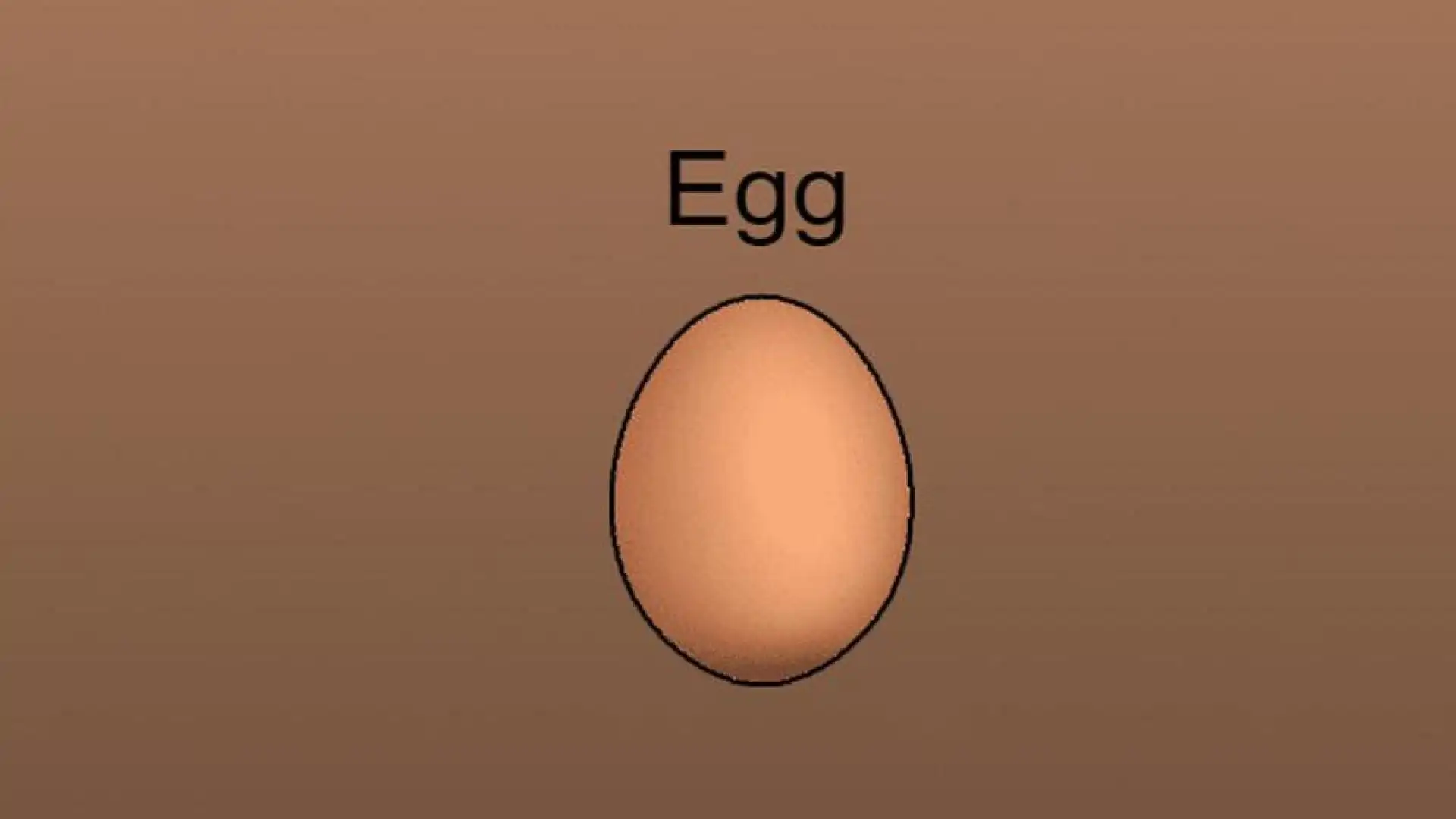 Egg