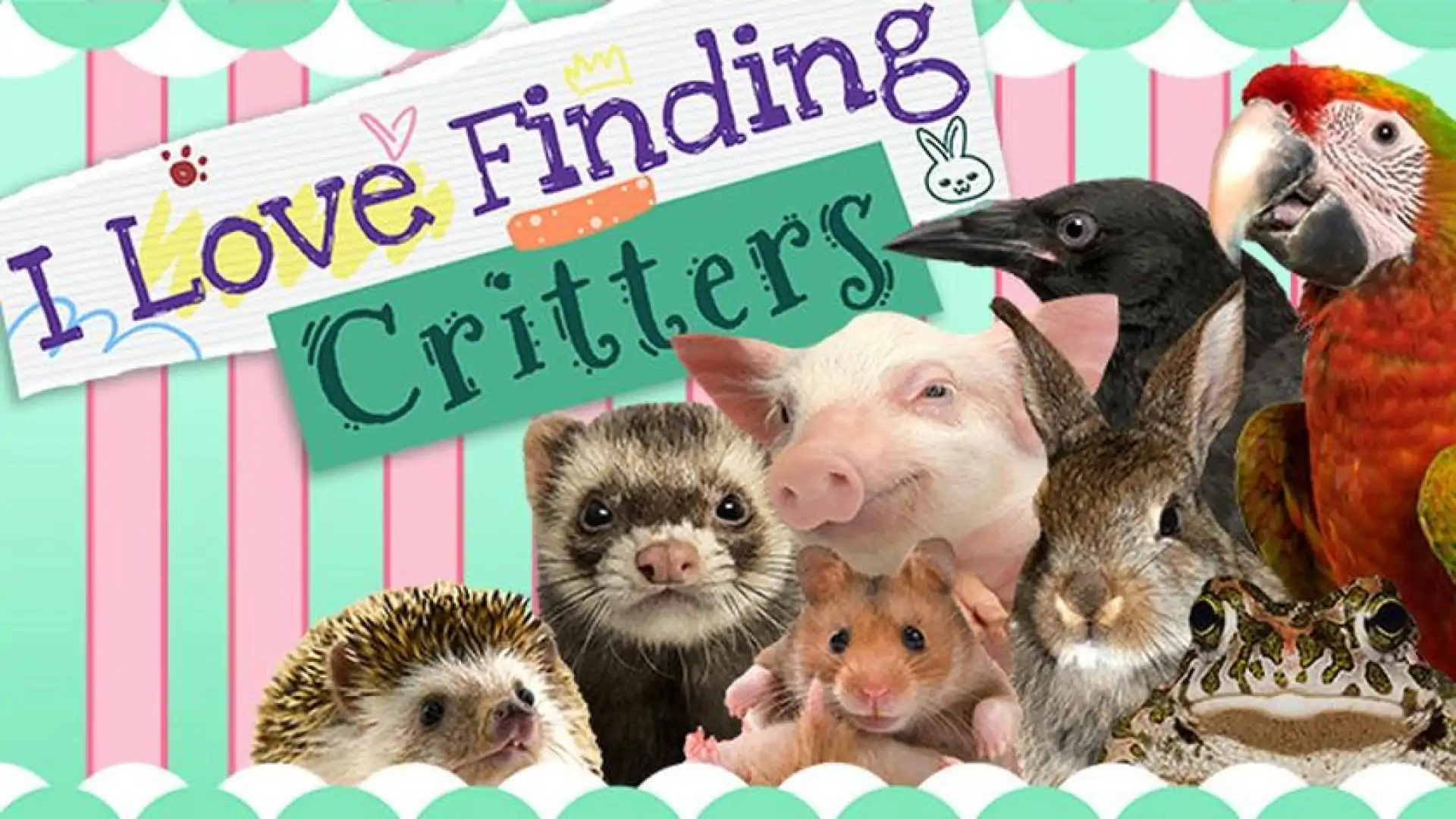 I Love Finding Critters