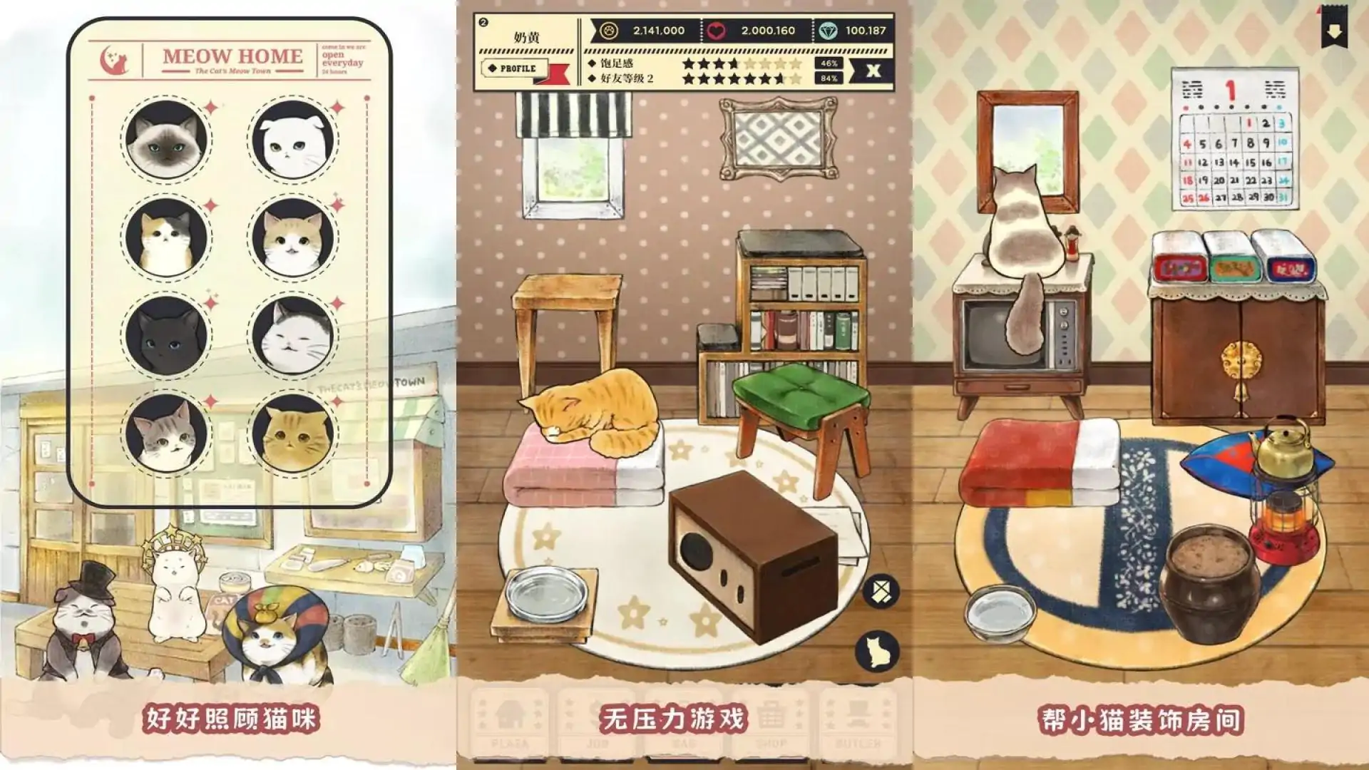 猫咪天堂