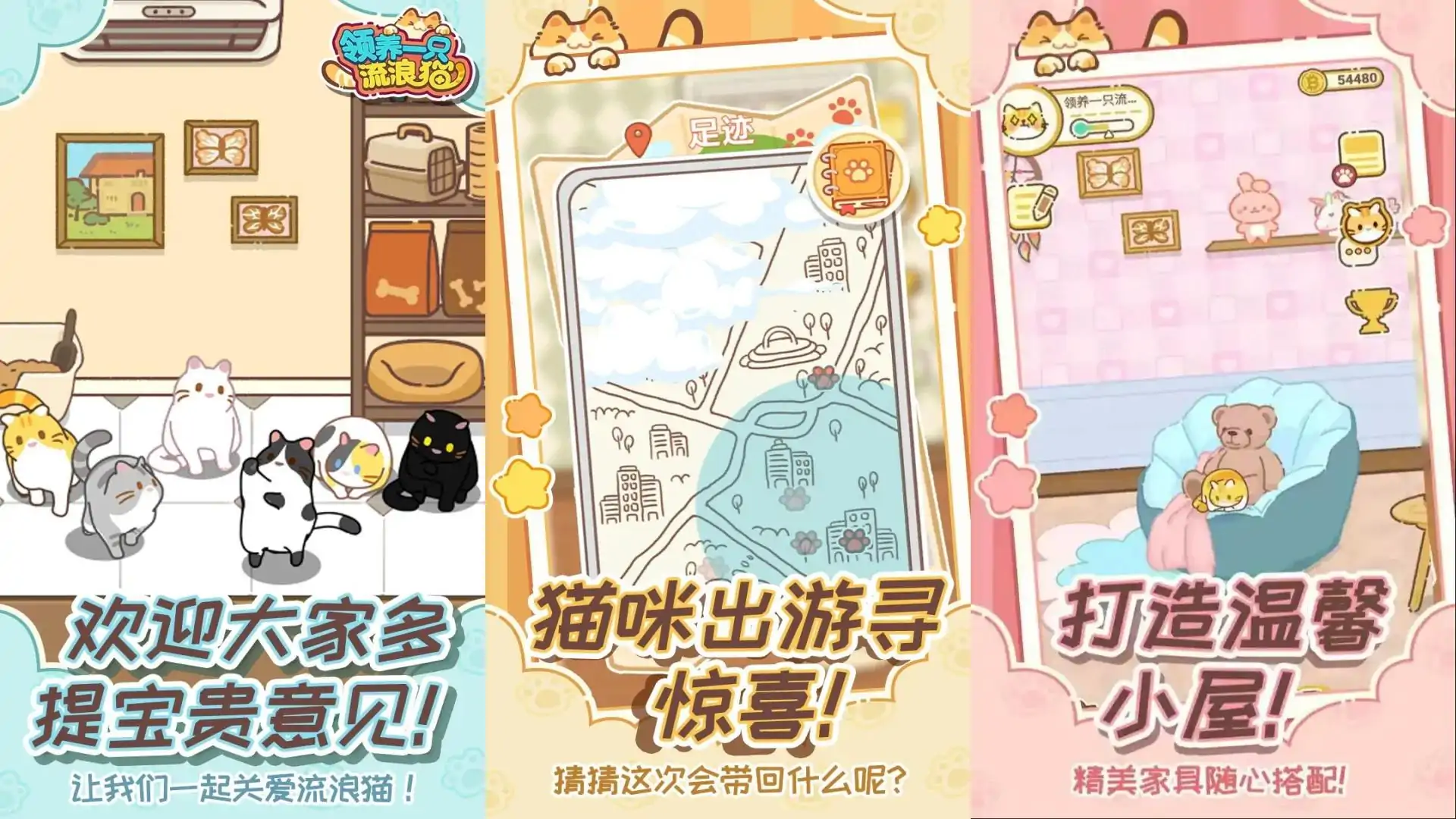 领养一只流浪猫