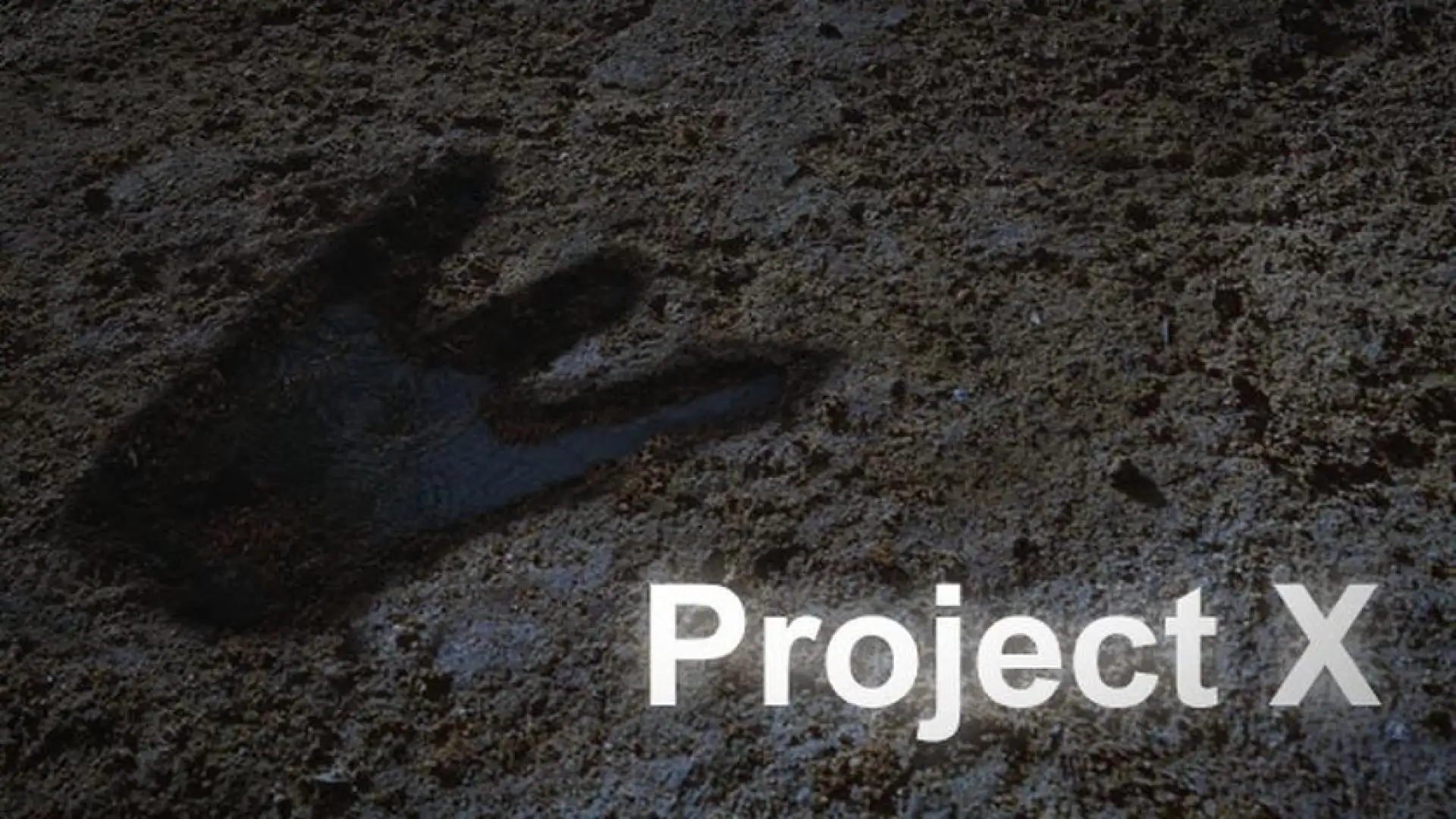 Project X