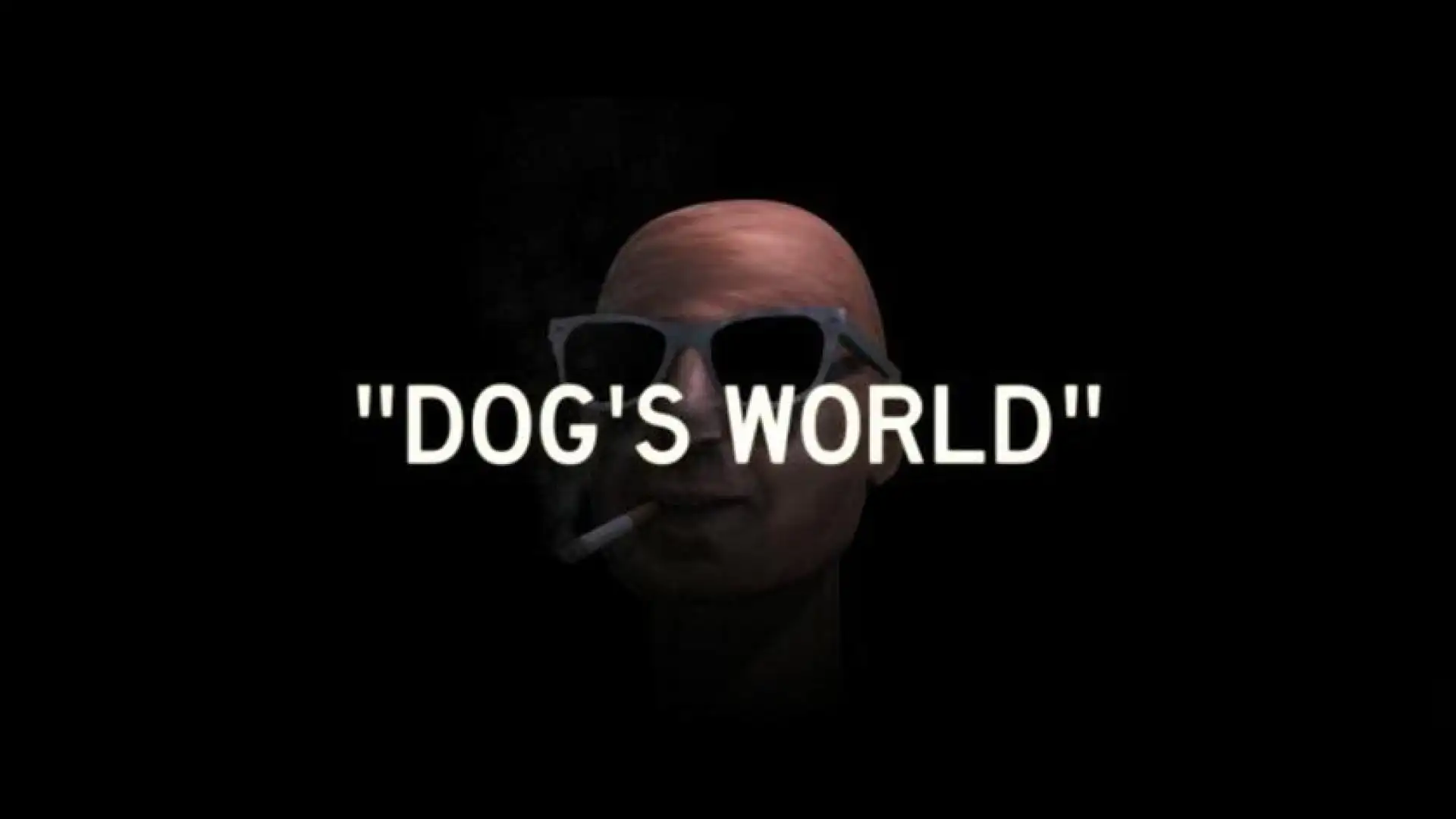 Dog's World