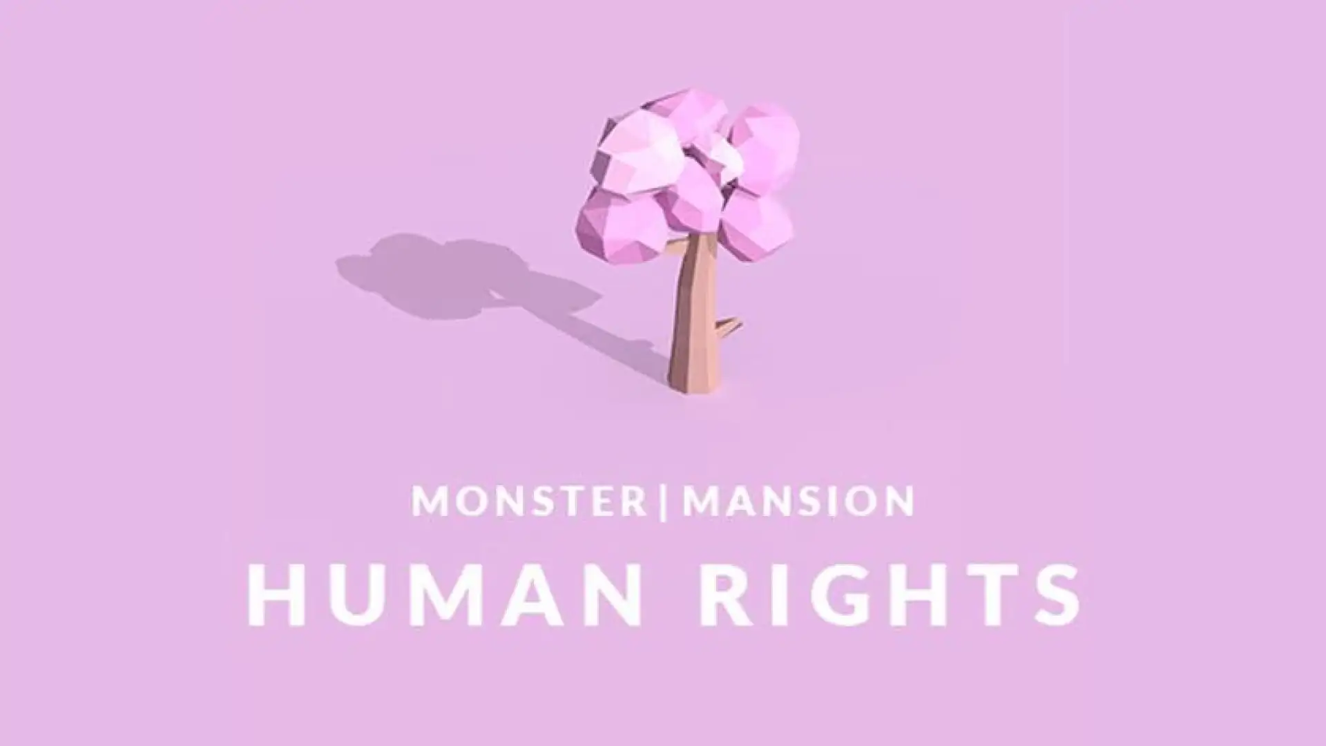 Human Rights