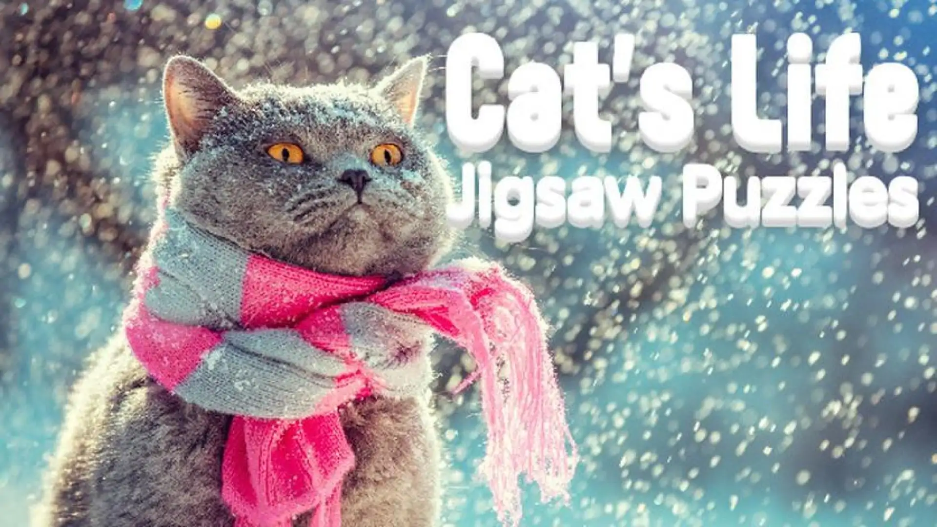 Cat's Life Jigsaw Puzzles