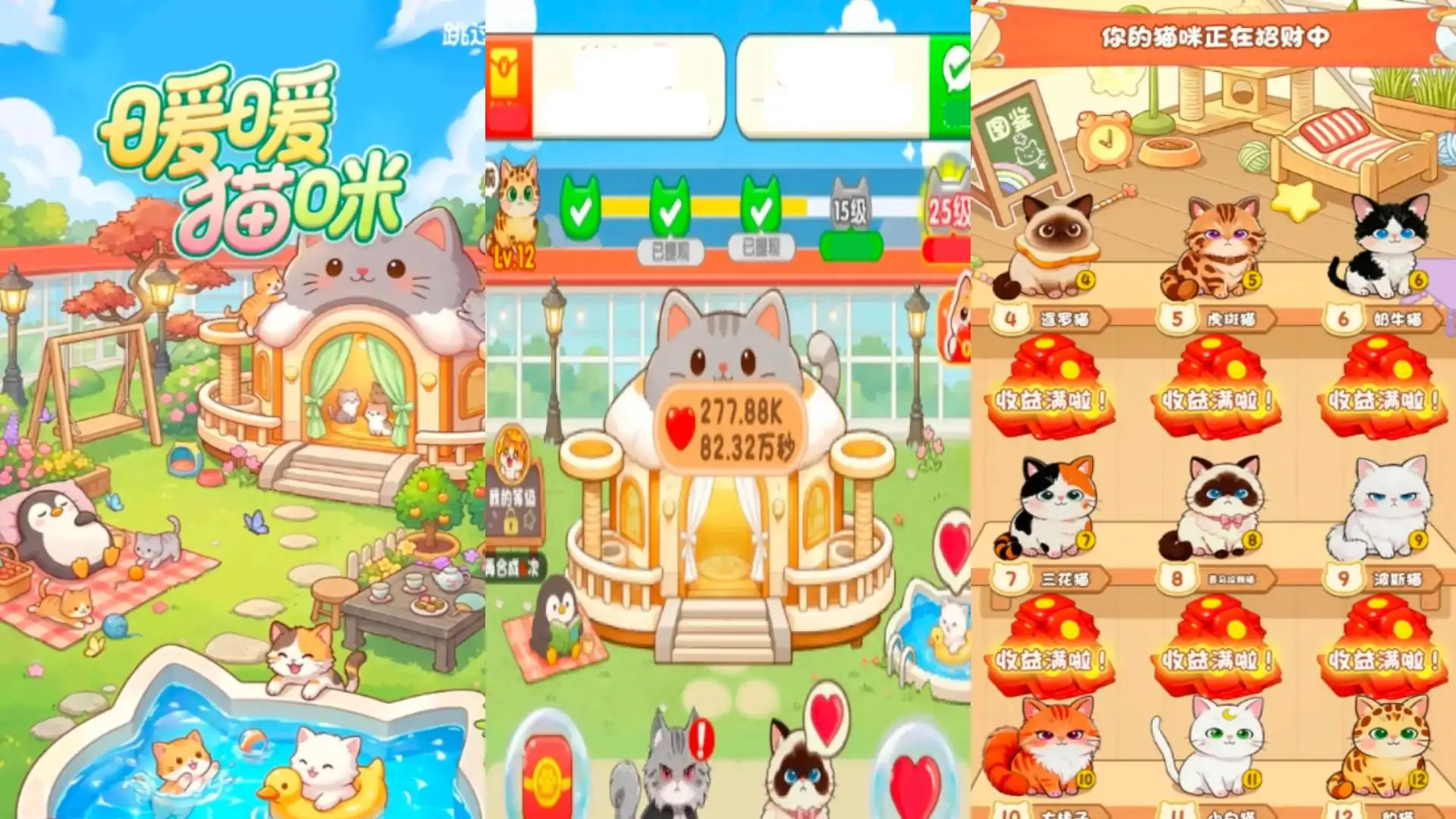 暖暖猫咪