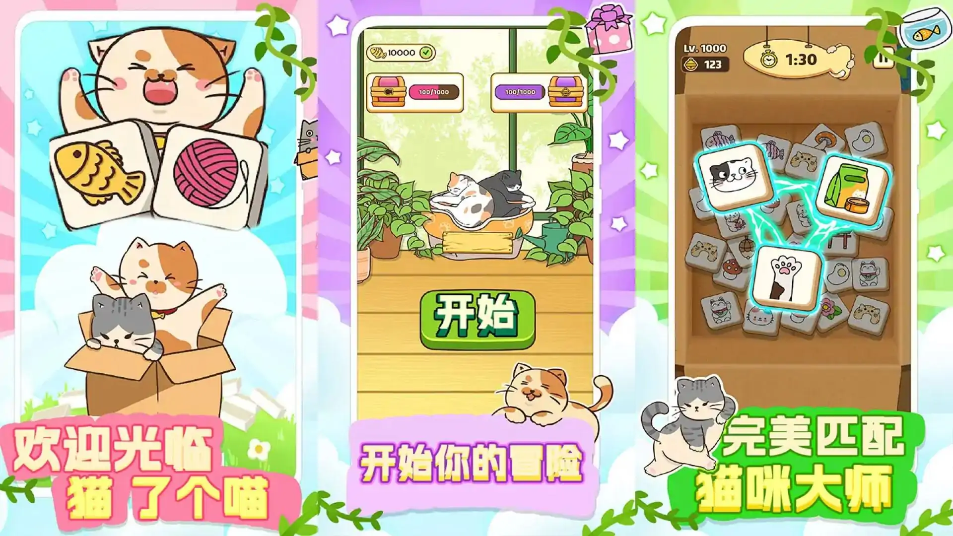 猫了个喵