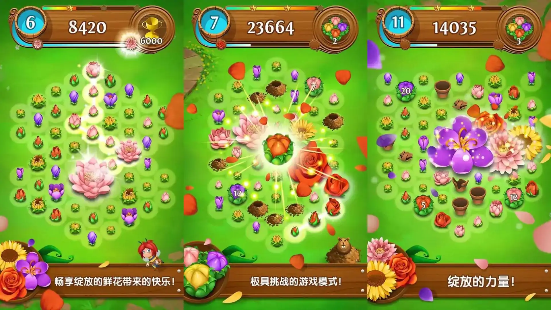 花花传奇