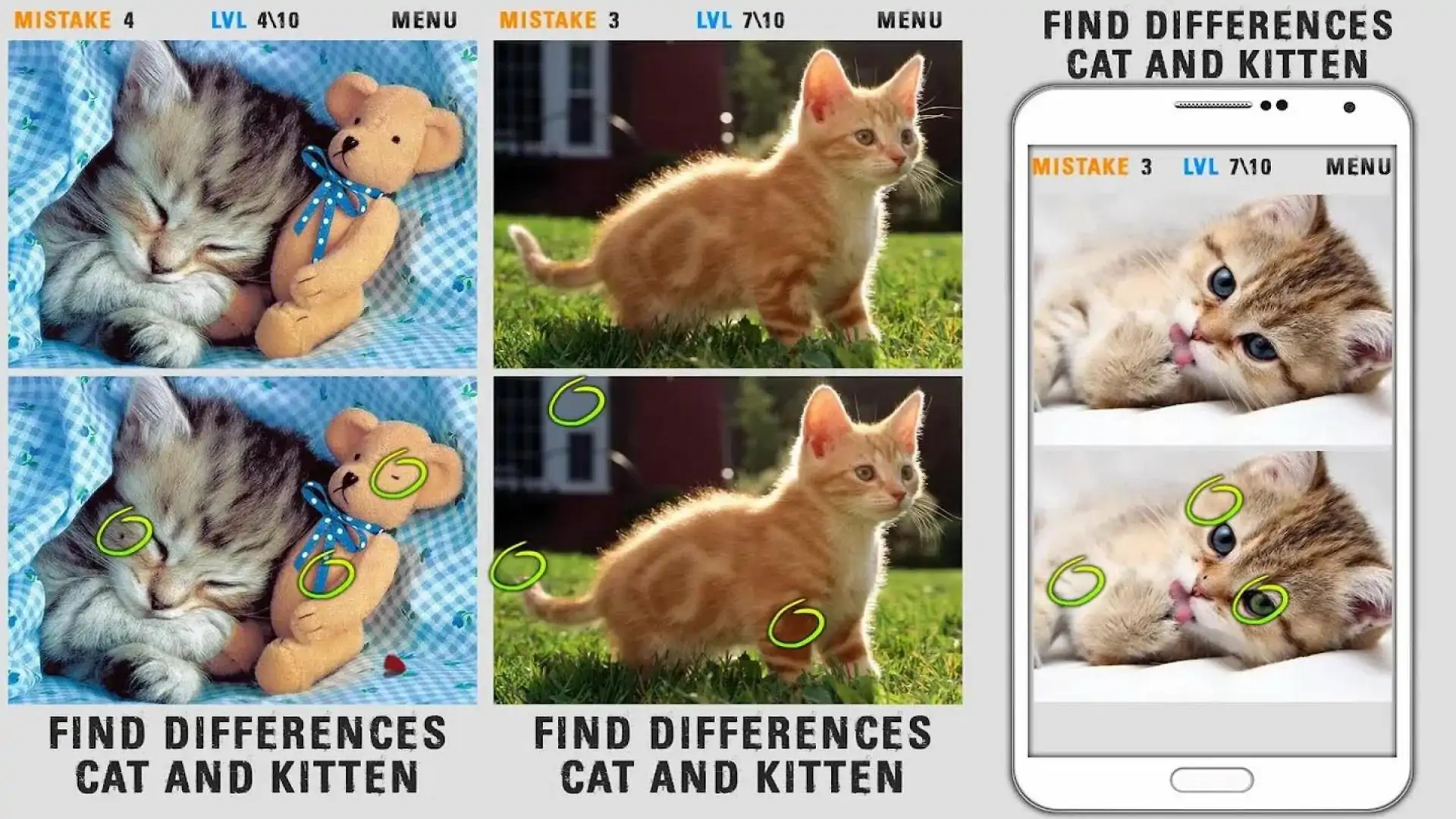 找不同猫和小猫