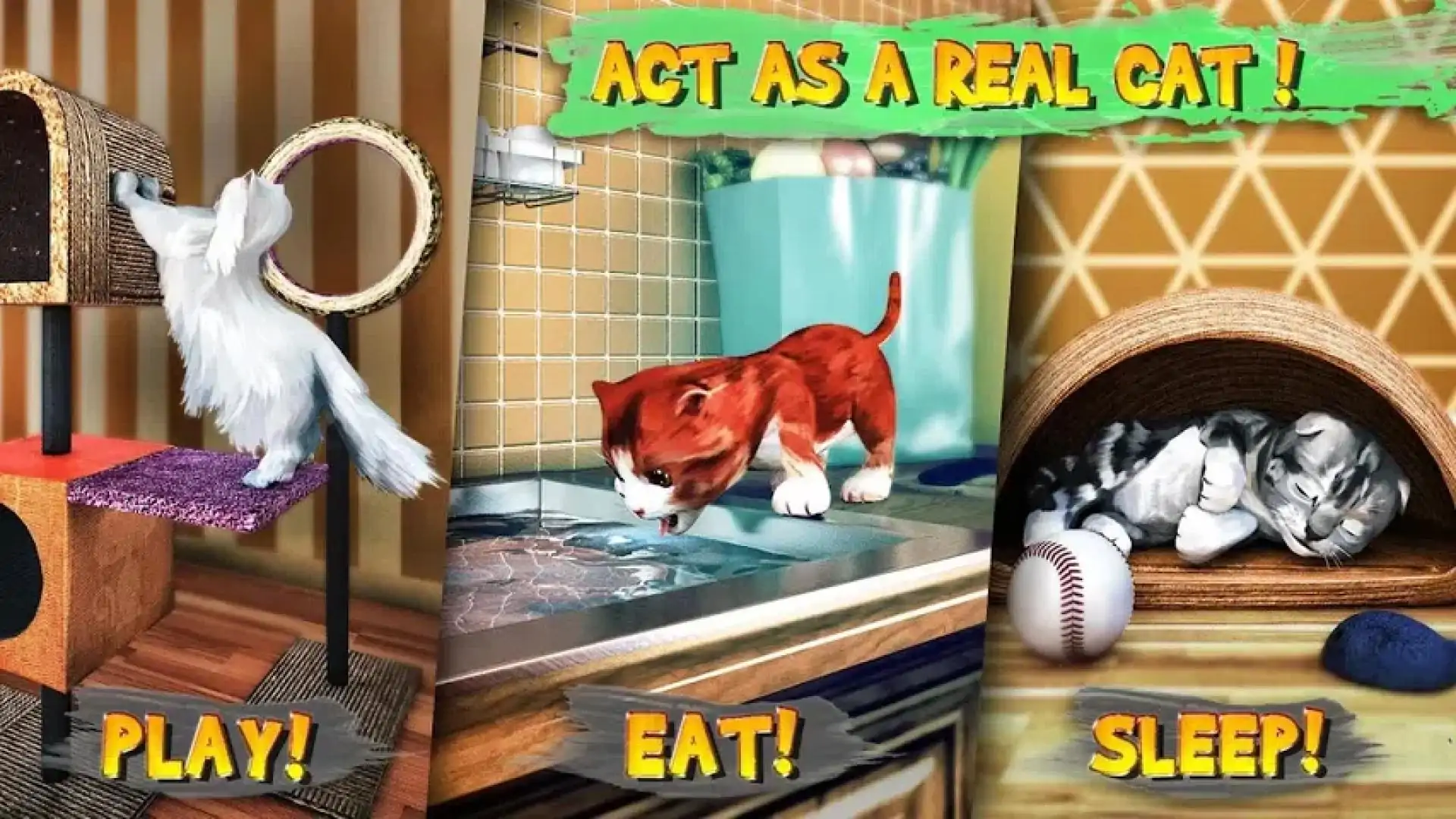 猫咪模拟器