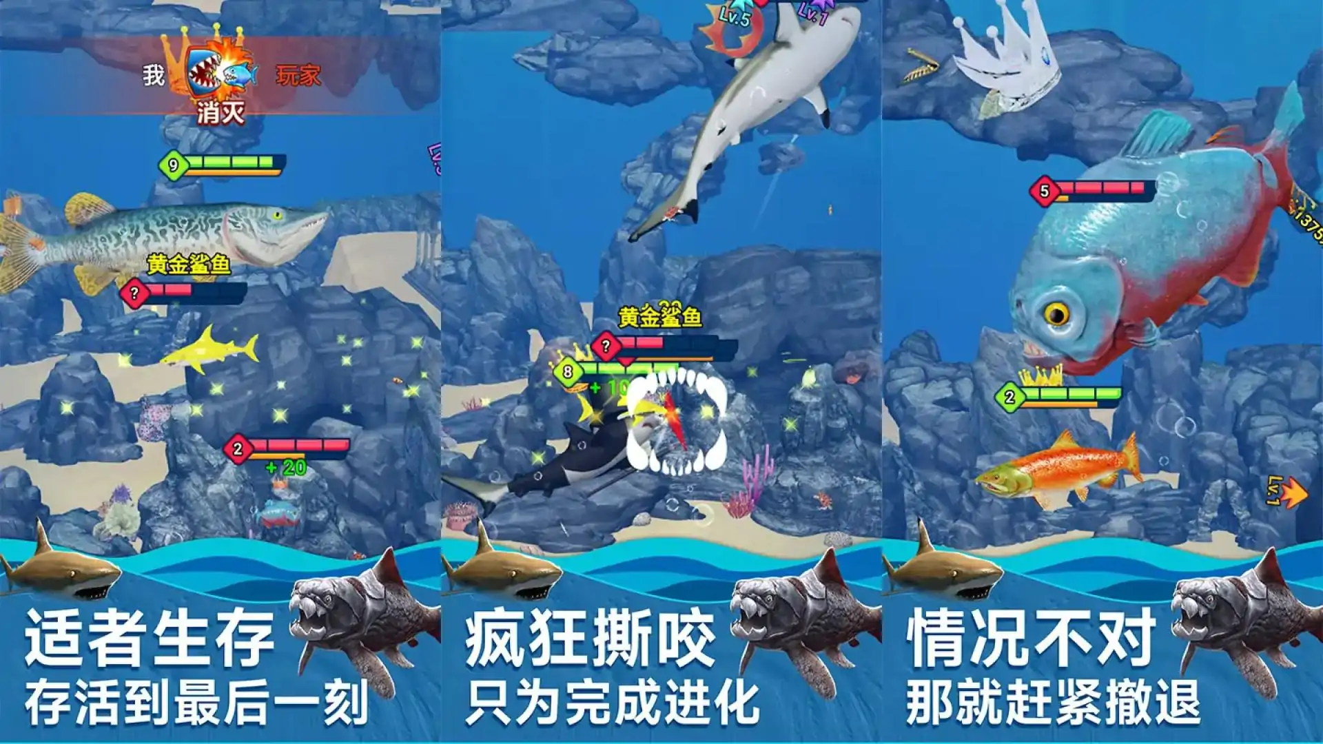 海底生存进化世界