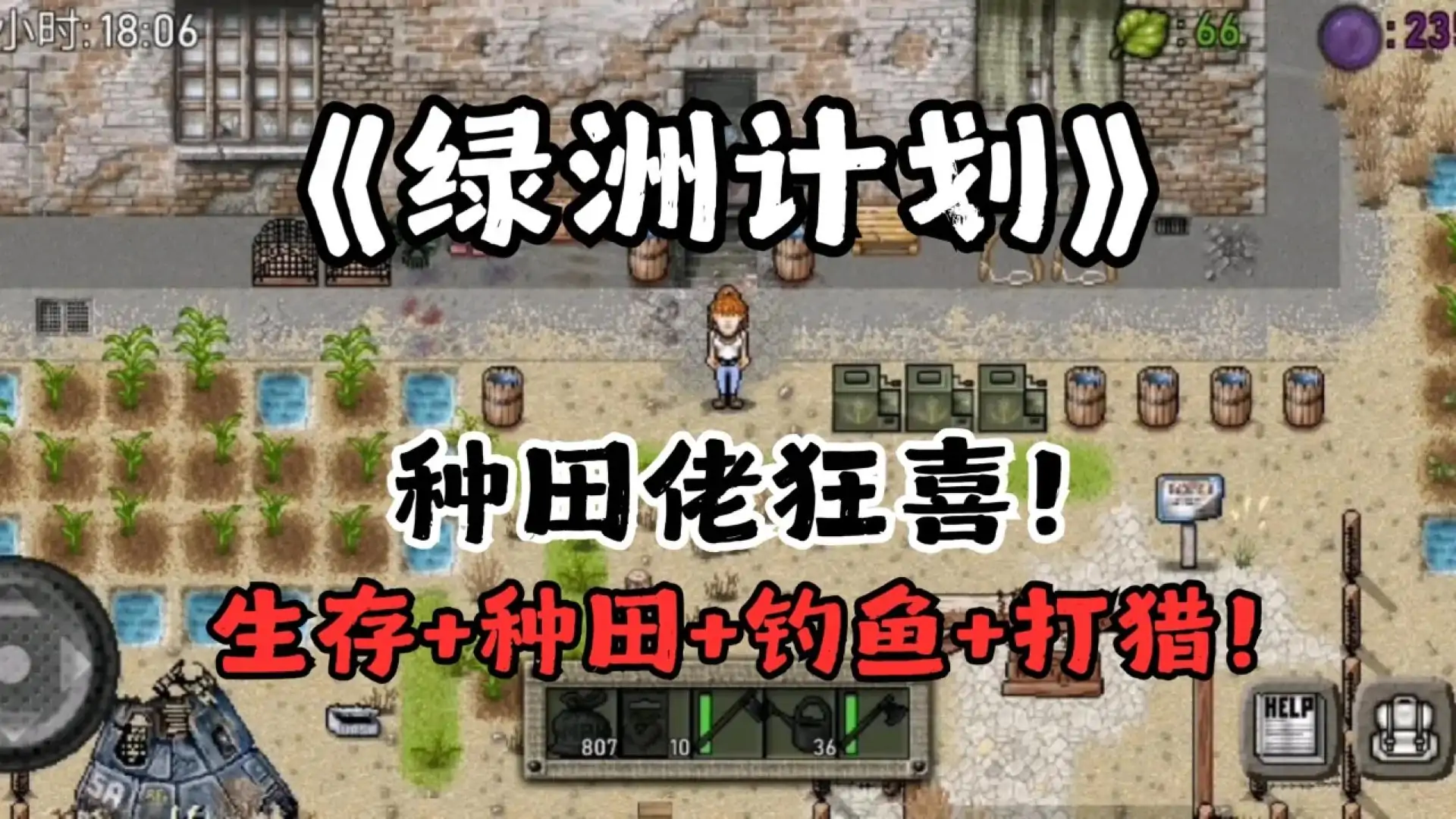 绿洲计划