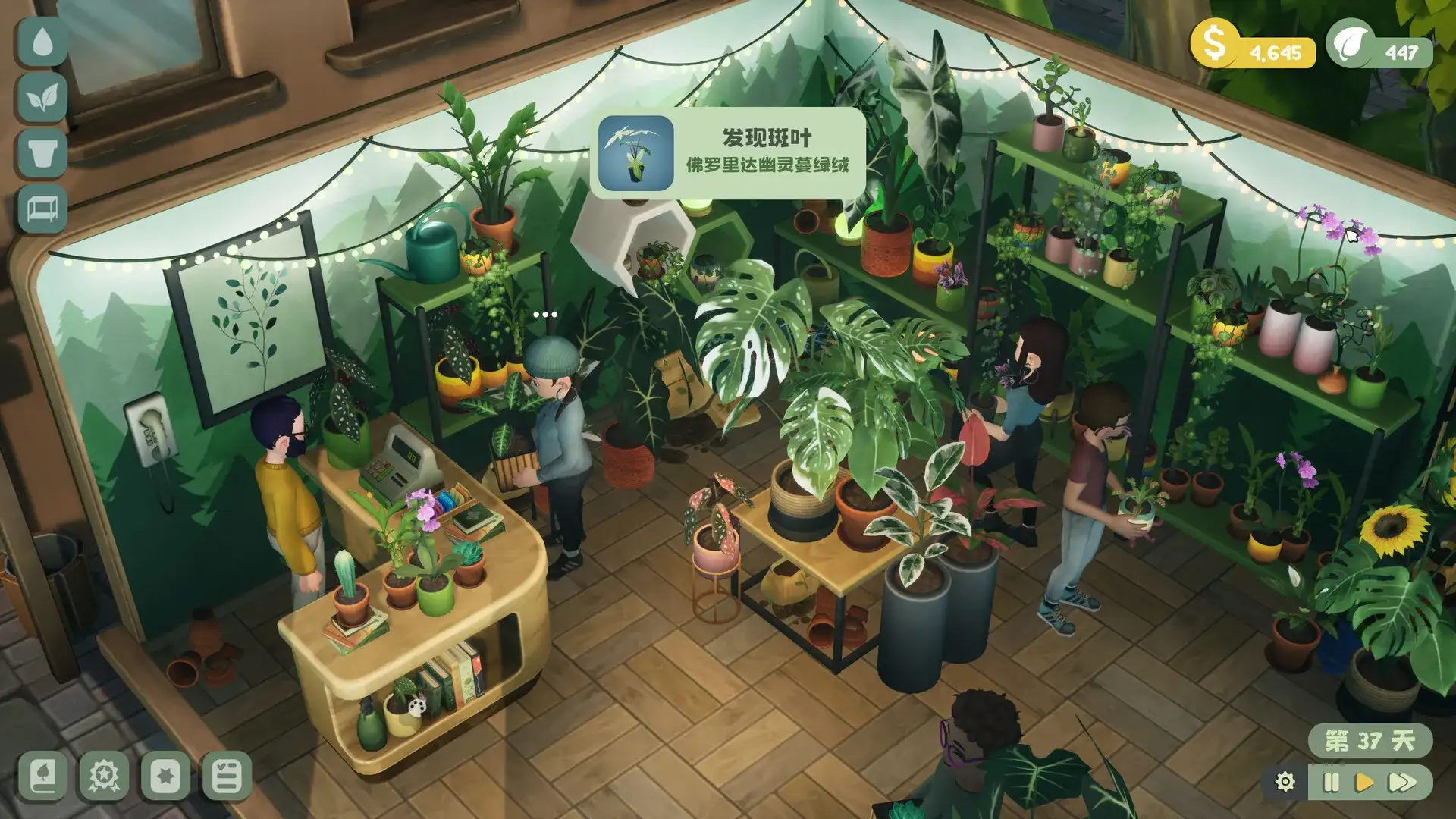绿植小筑（闪迹云游戏）