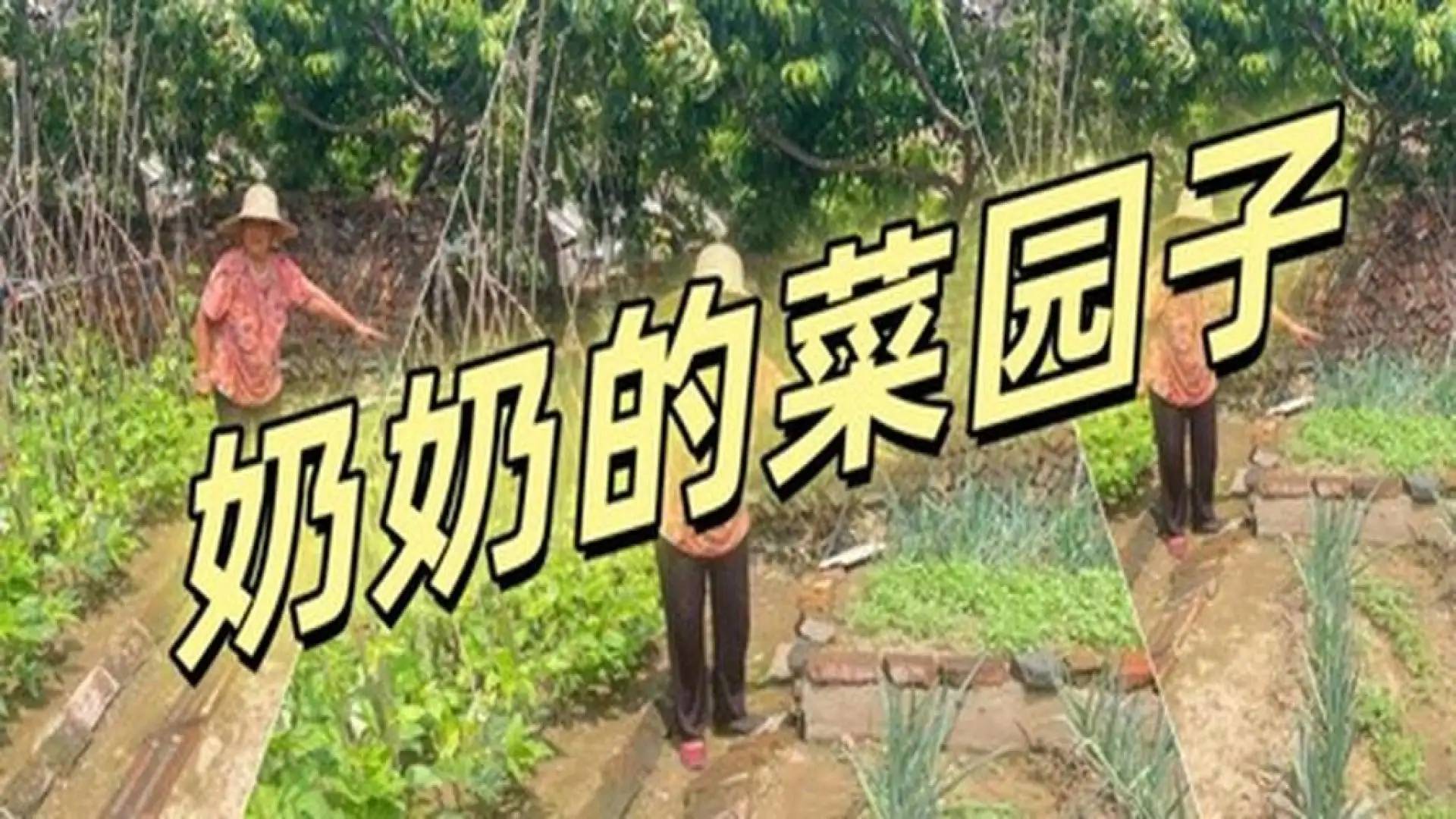 游戏单封面