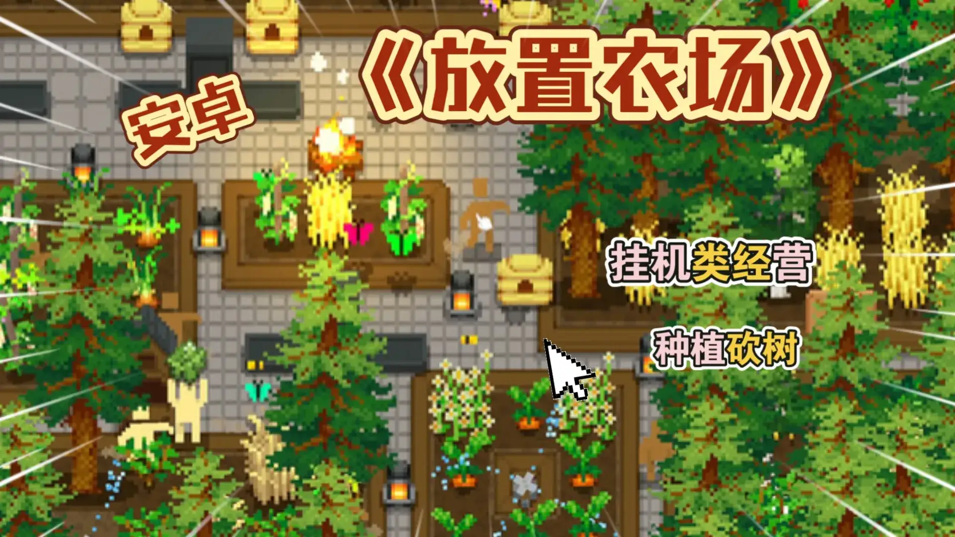 小小露台