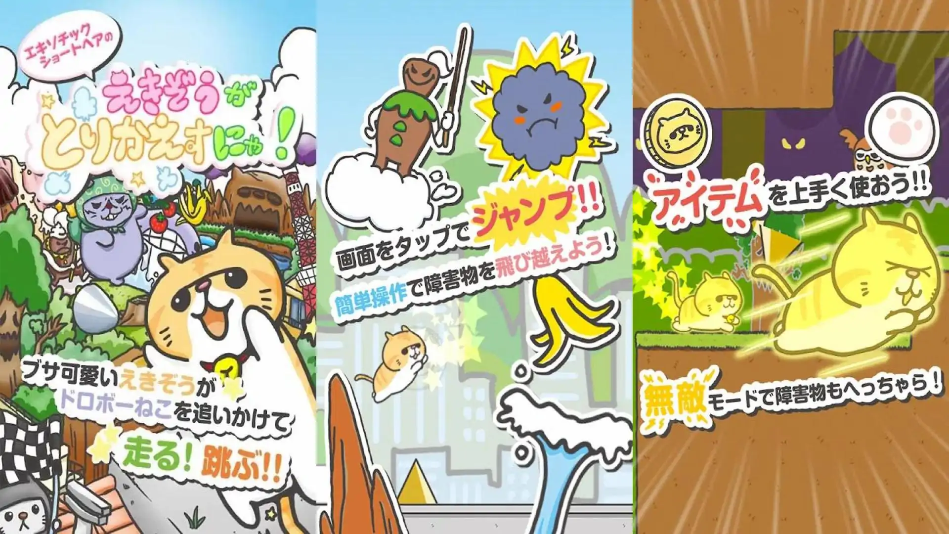 异国短毛猫Ekizo代替喵喵