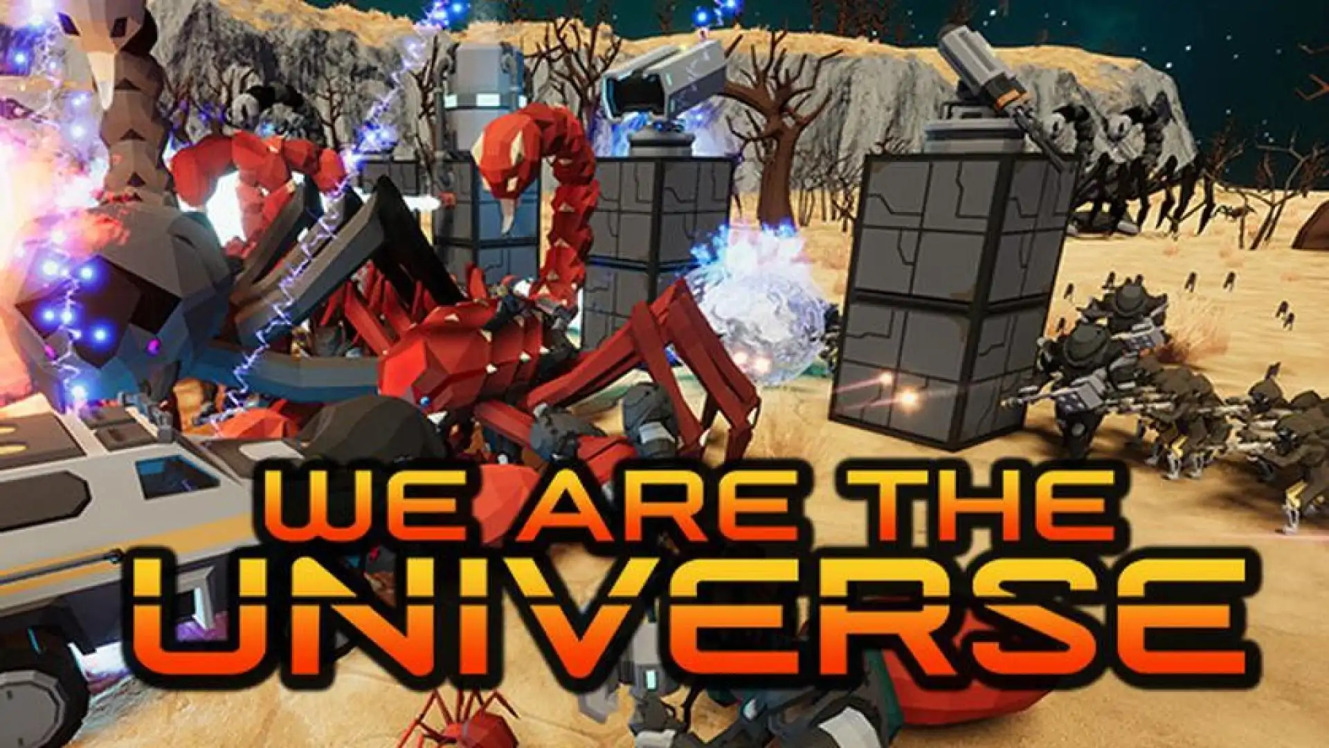 We Are the Universe