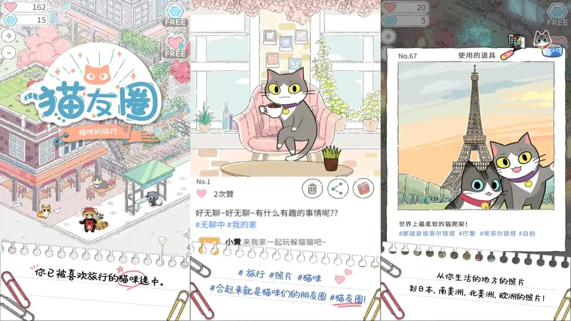 猫友圈：猫咪的旅行