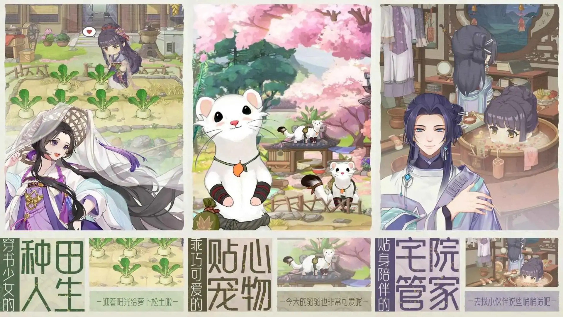 代号：梦（预约）
