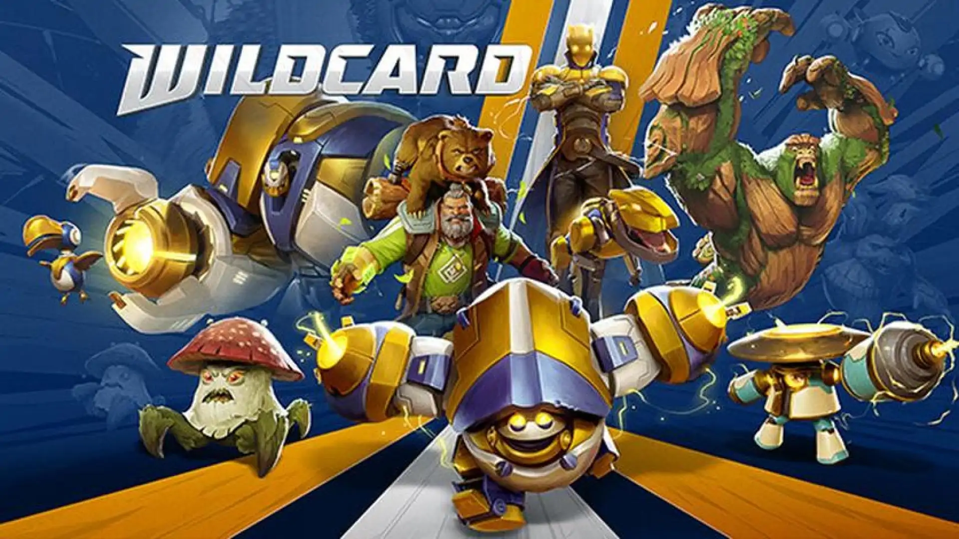 Wildcard