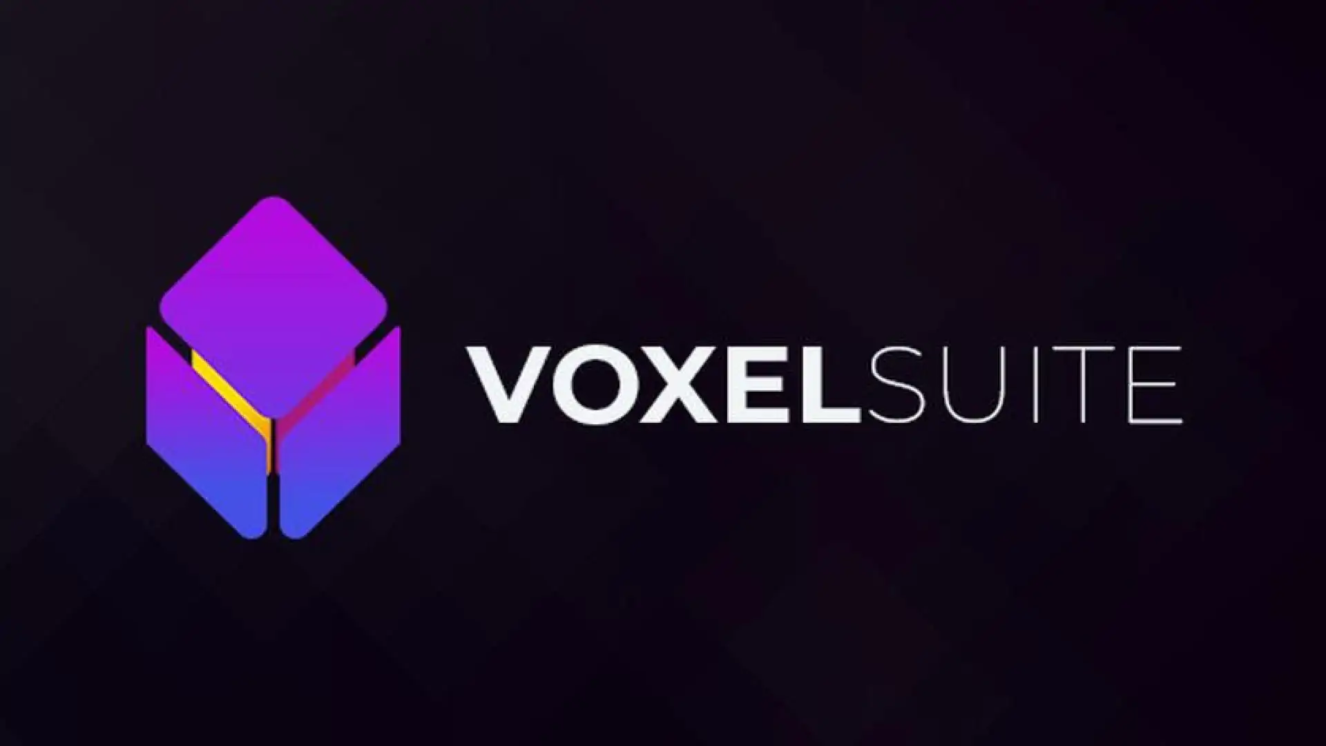 VoxelSuite