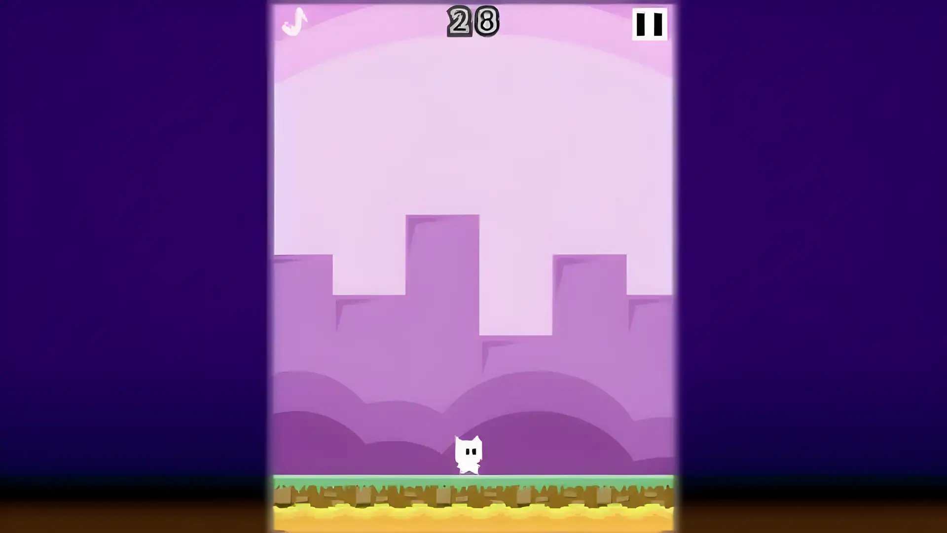 危险猫