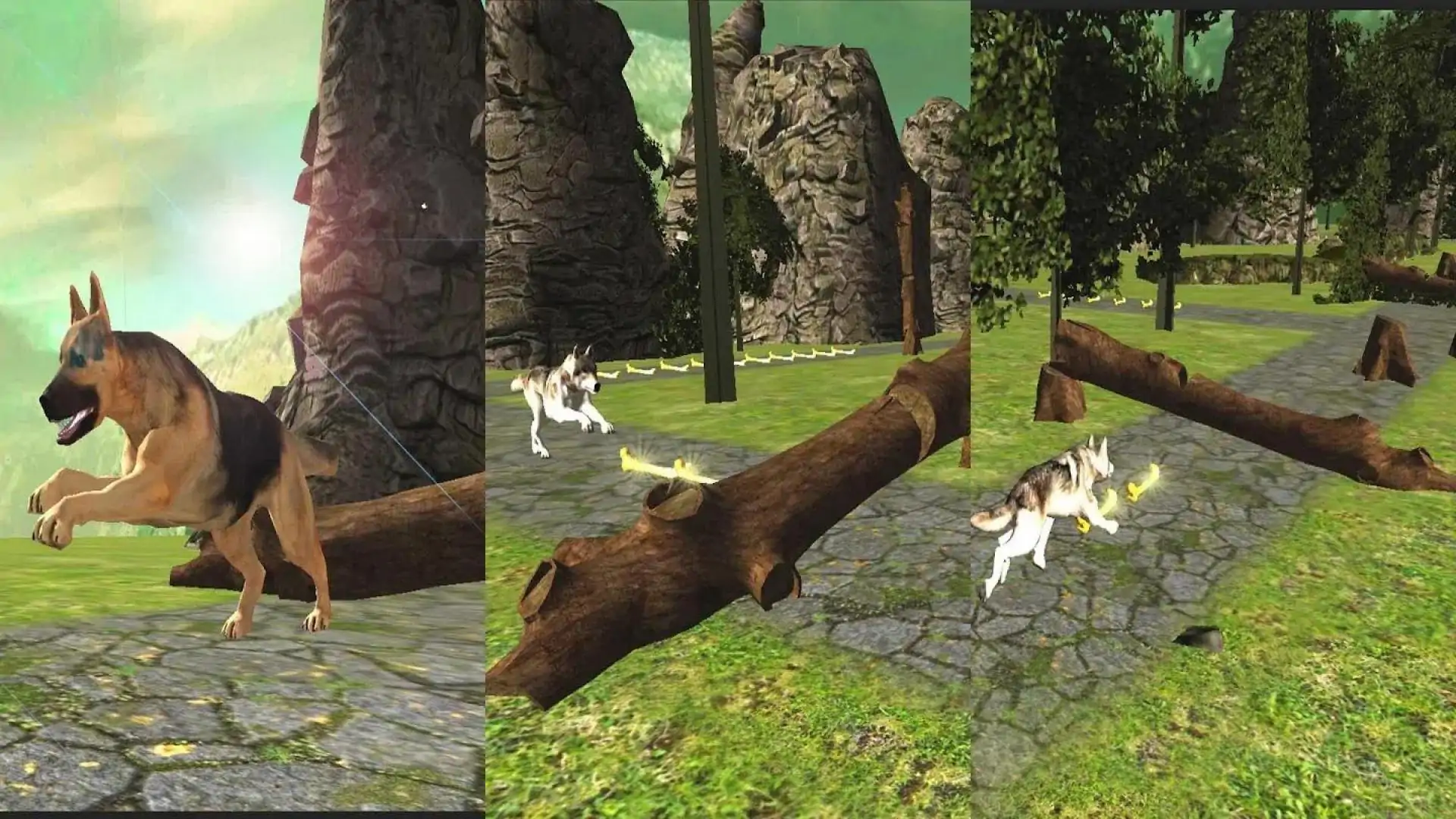 疯狗跑冒险