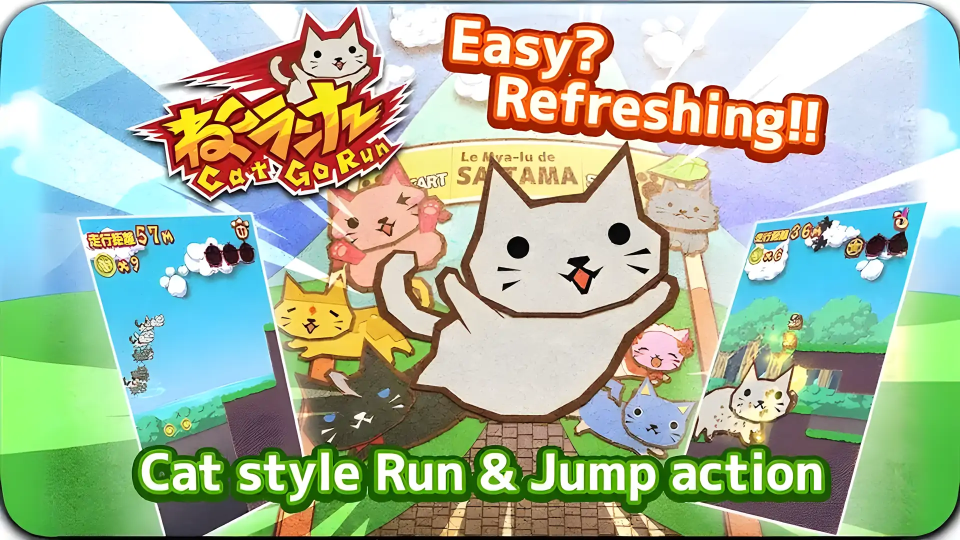 猫跑起来