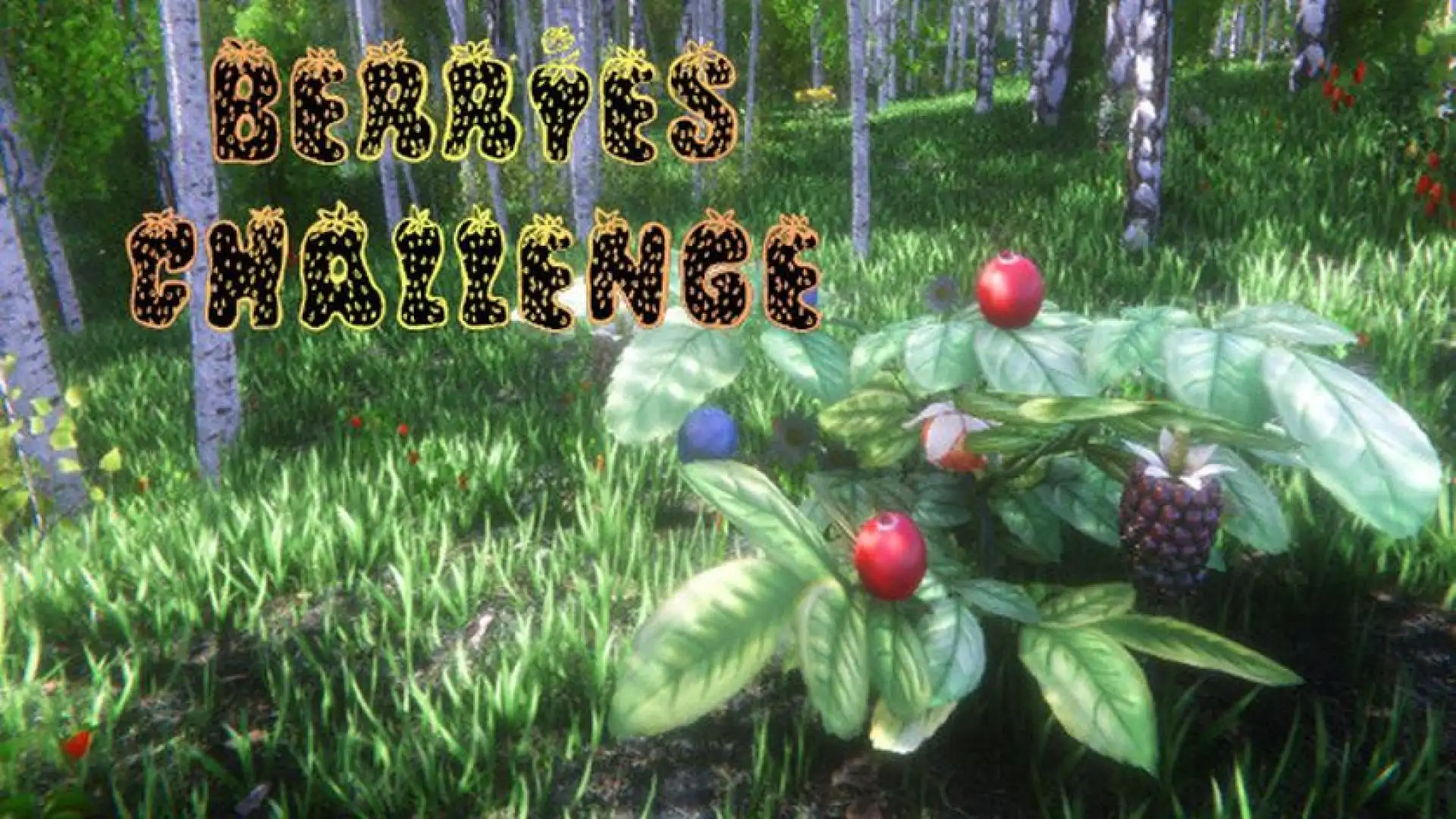Berries Challenge