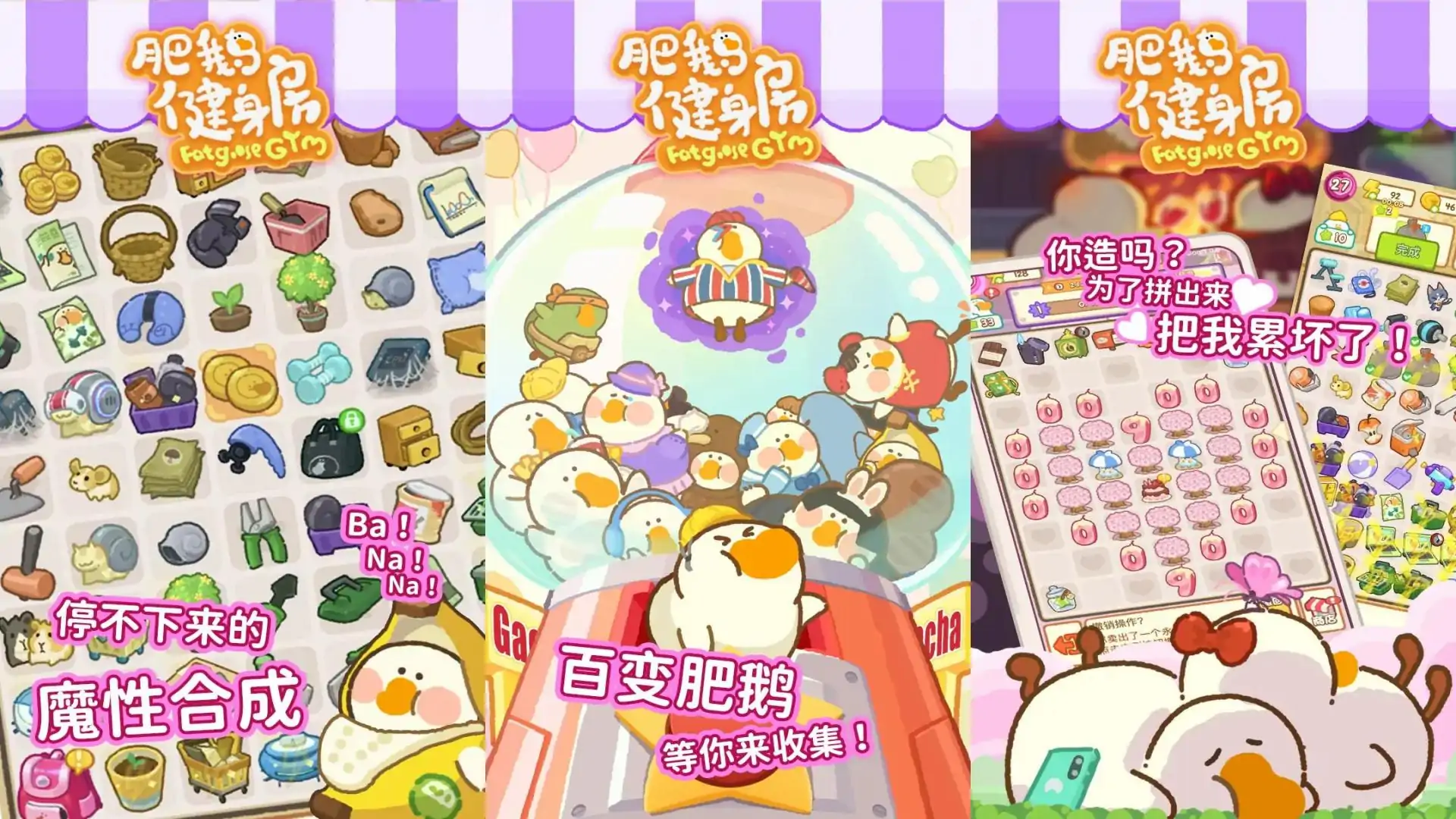 肥鹅健身房