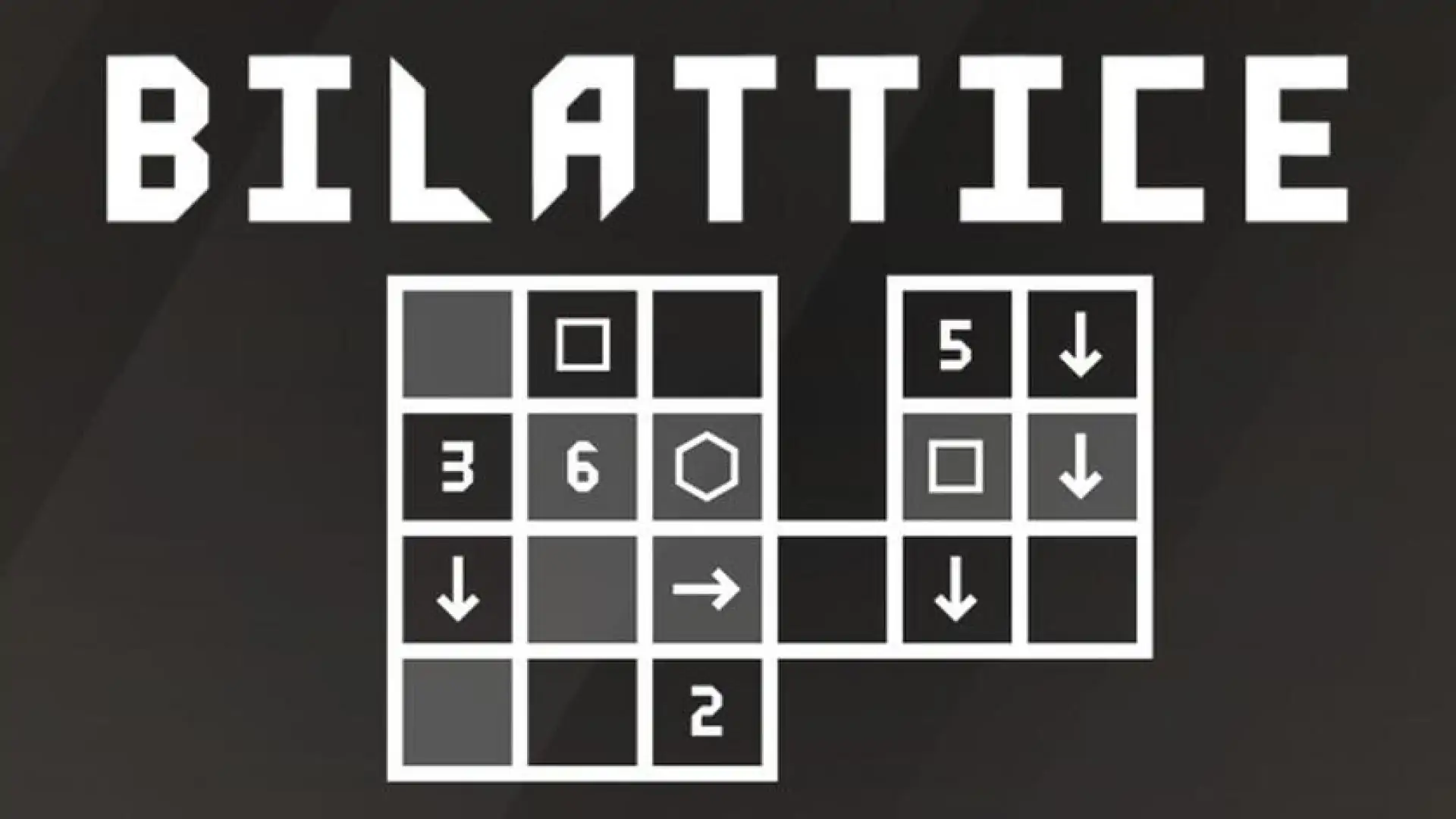 Bilattice