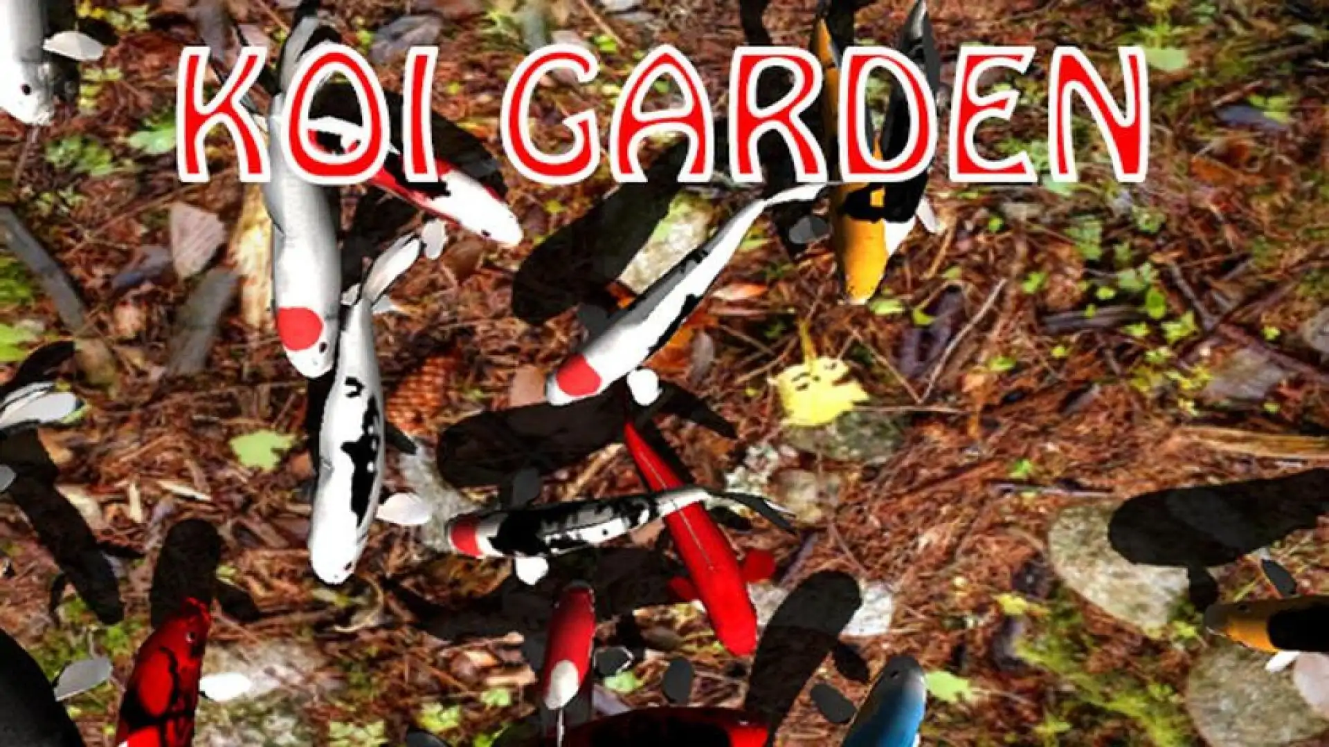 Koi Garden
