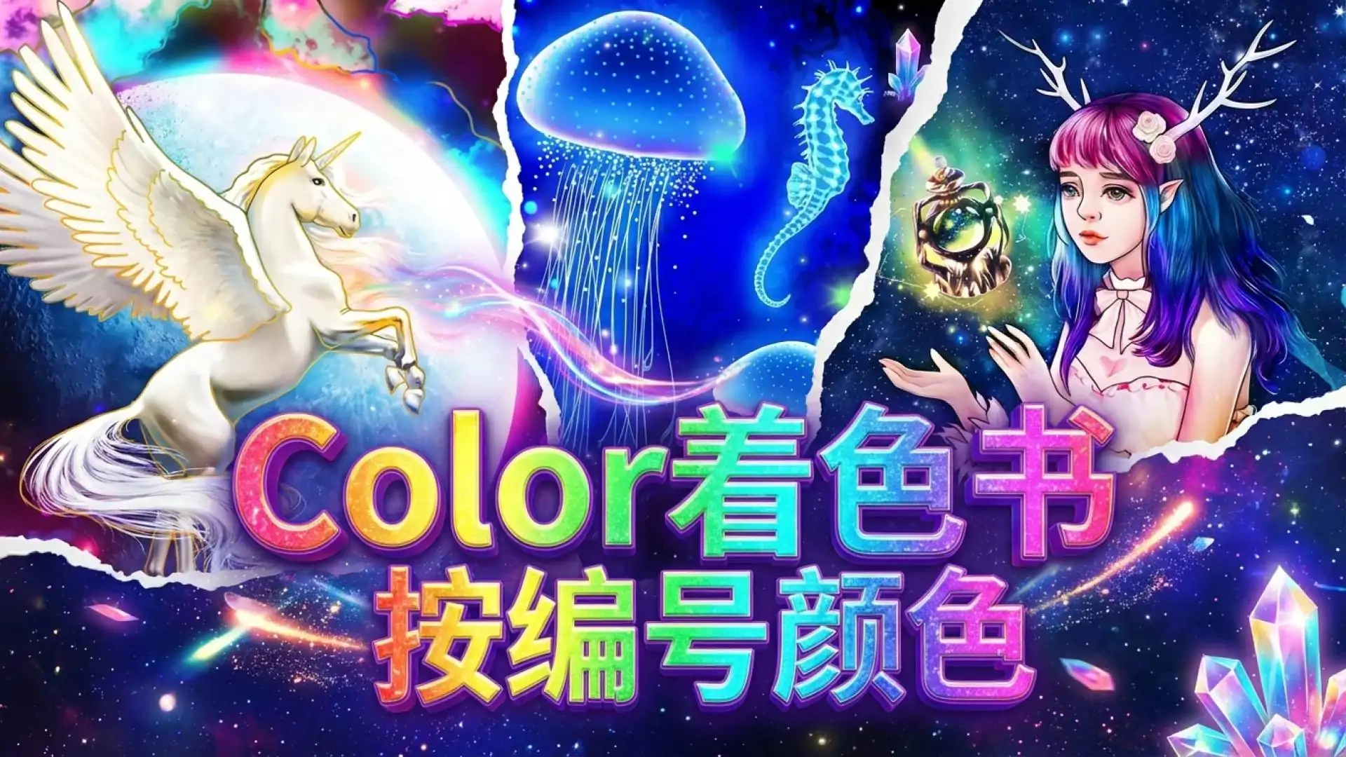 Color着色书-按编号颜色