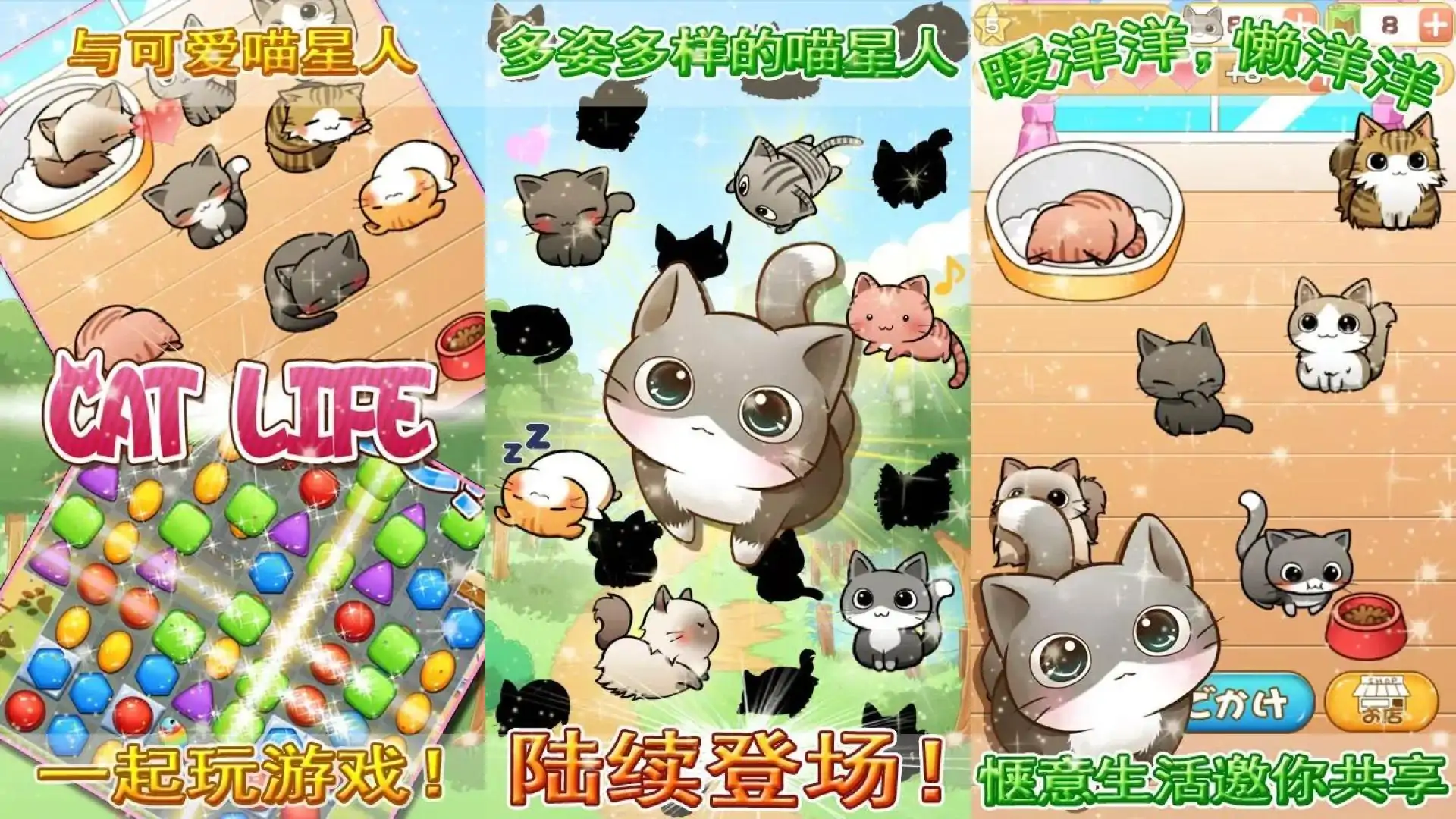 猫咪生活